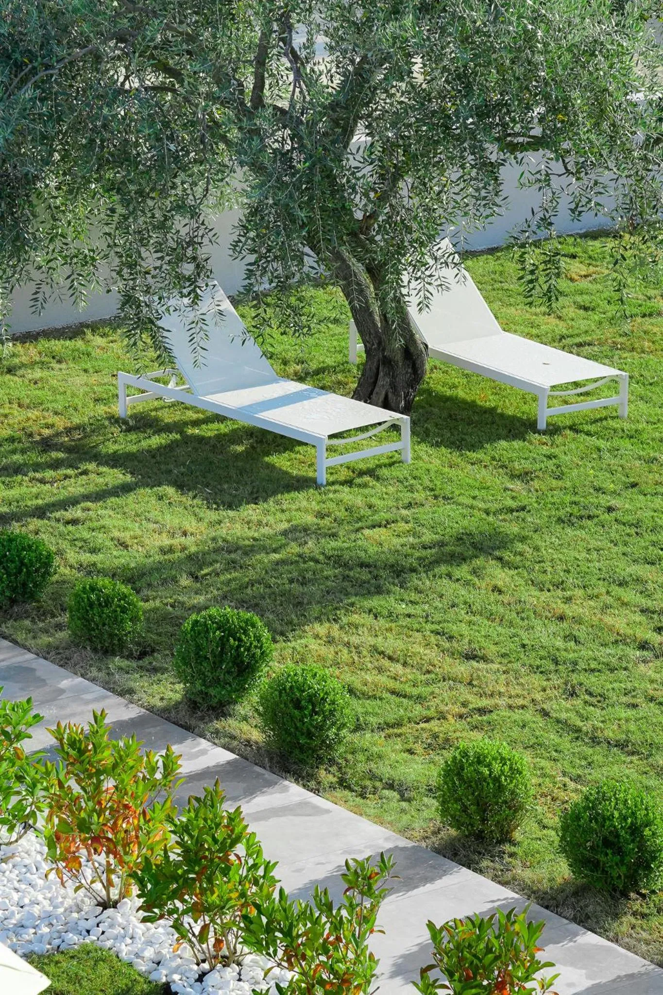 Garden in Olia Thassos - Luxury Apartments
