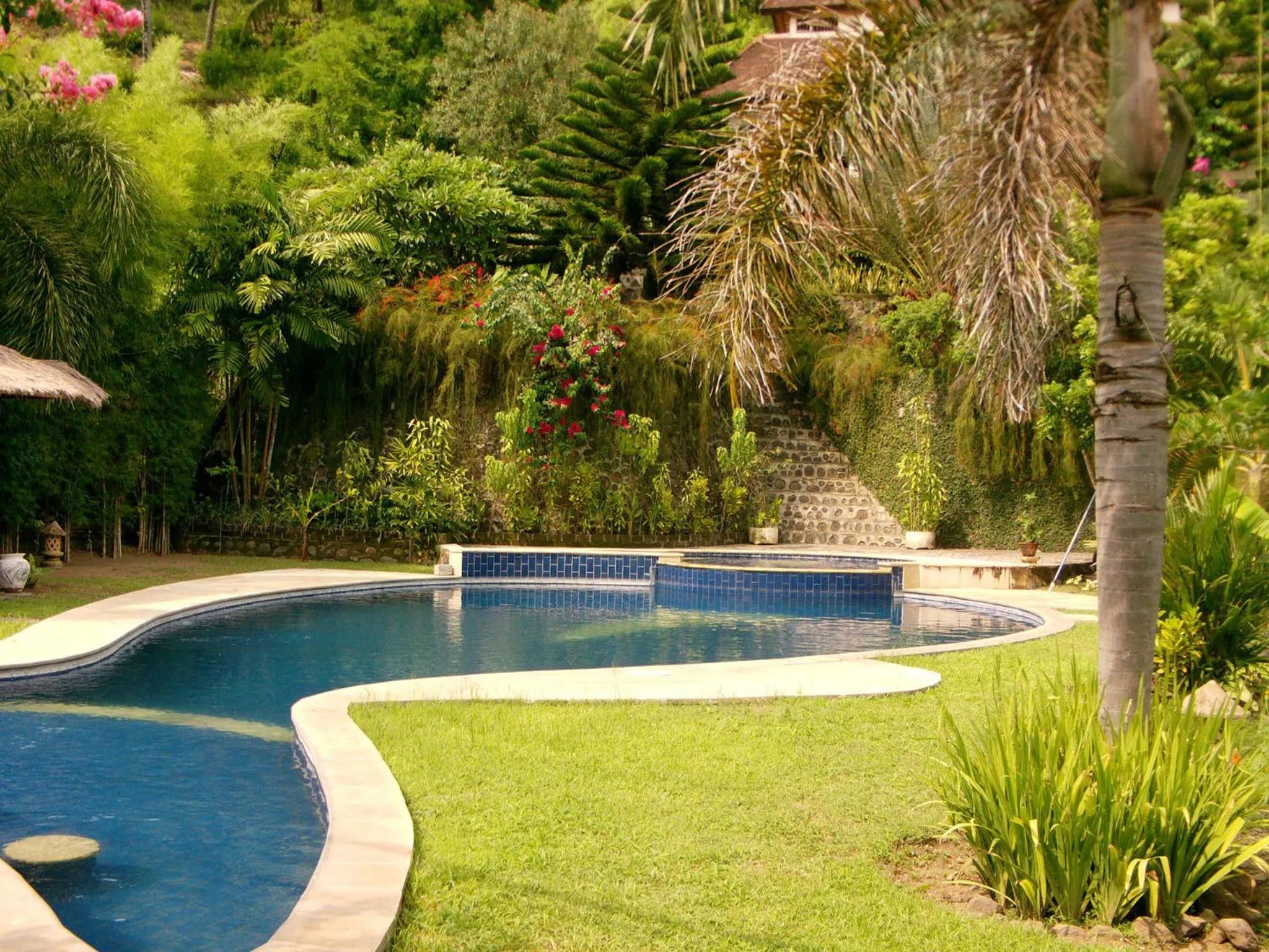 Garden in Sunset Villa