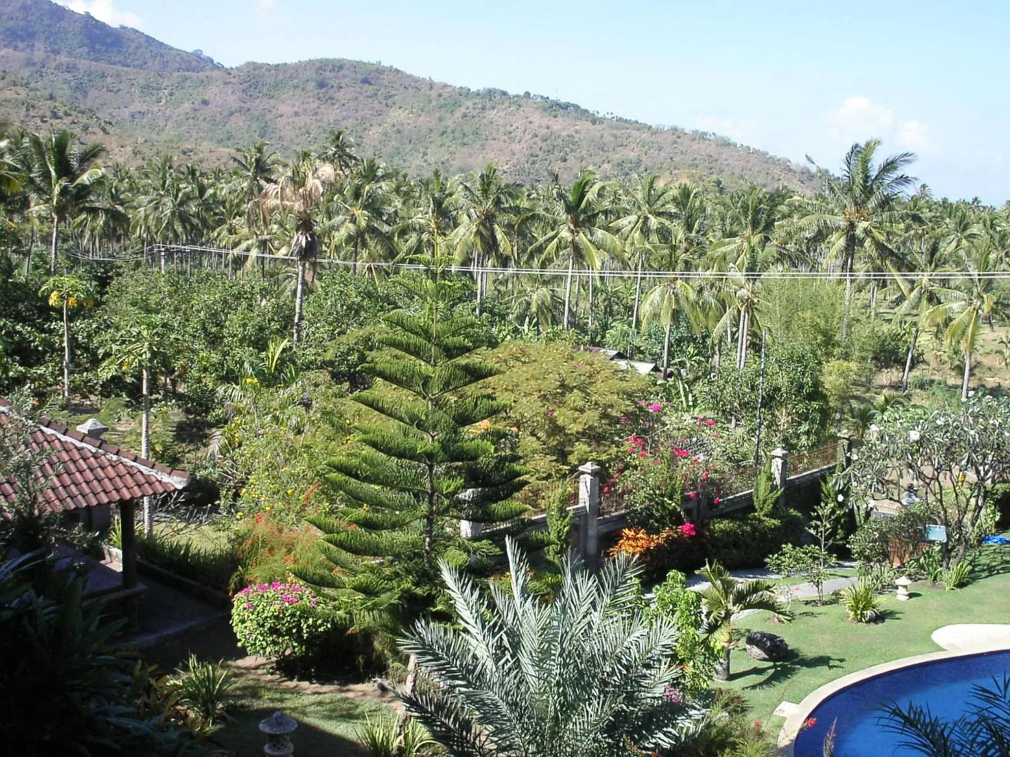 Garden in Sunset Villa