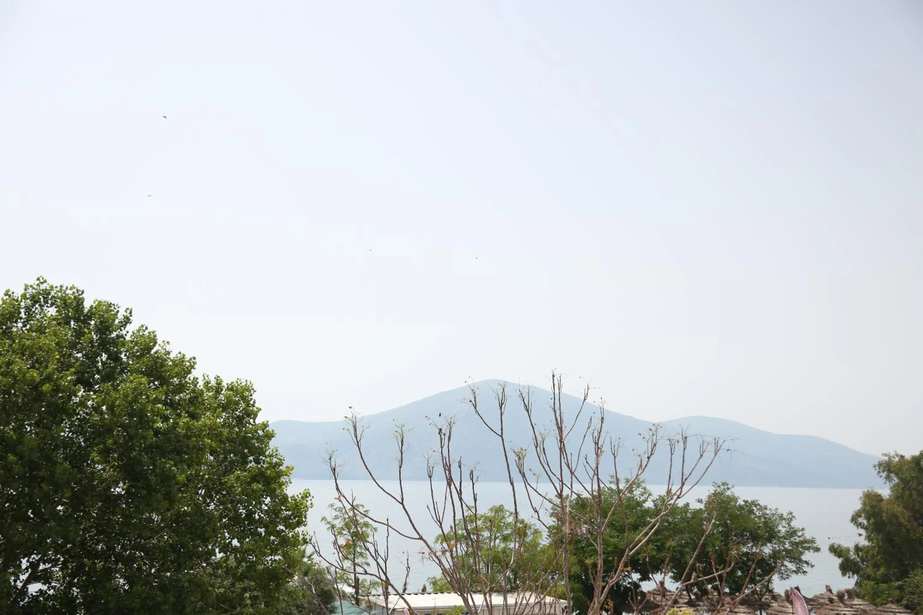 Sea view in B&B Champagne, Vlore Bay