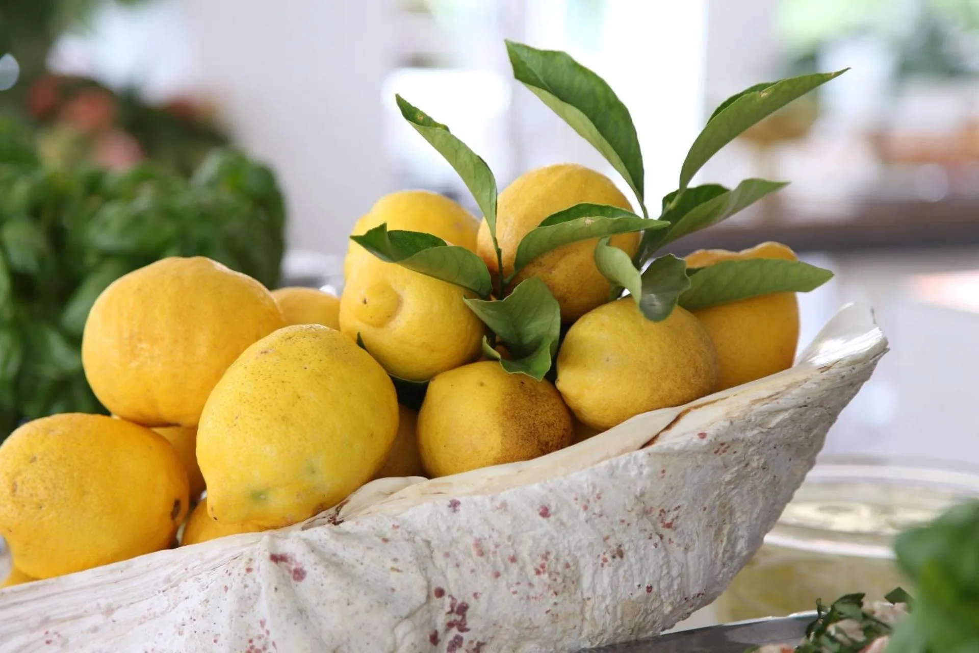 Food close-up in Hotel Caravelle Thalasso & Wellness