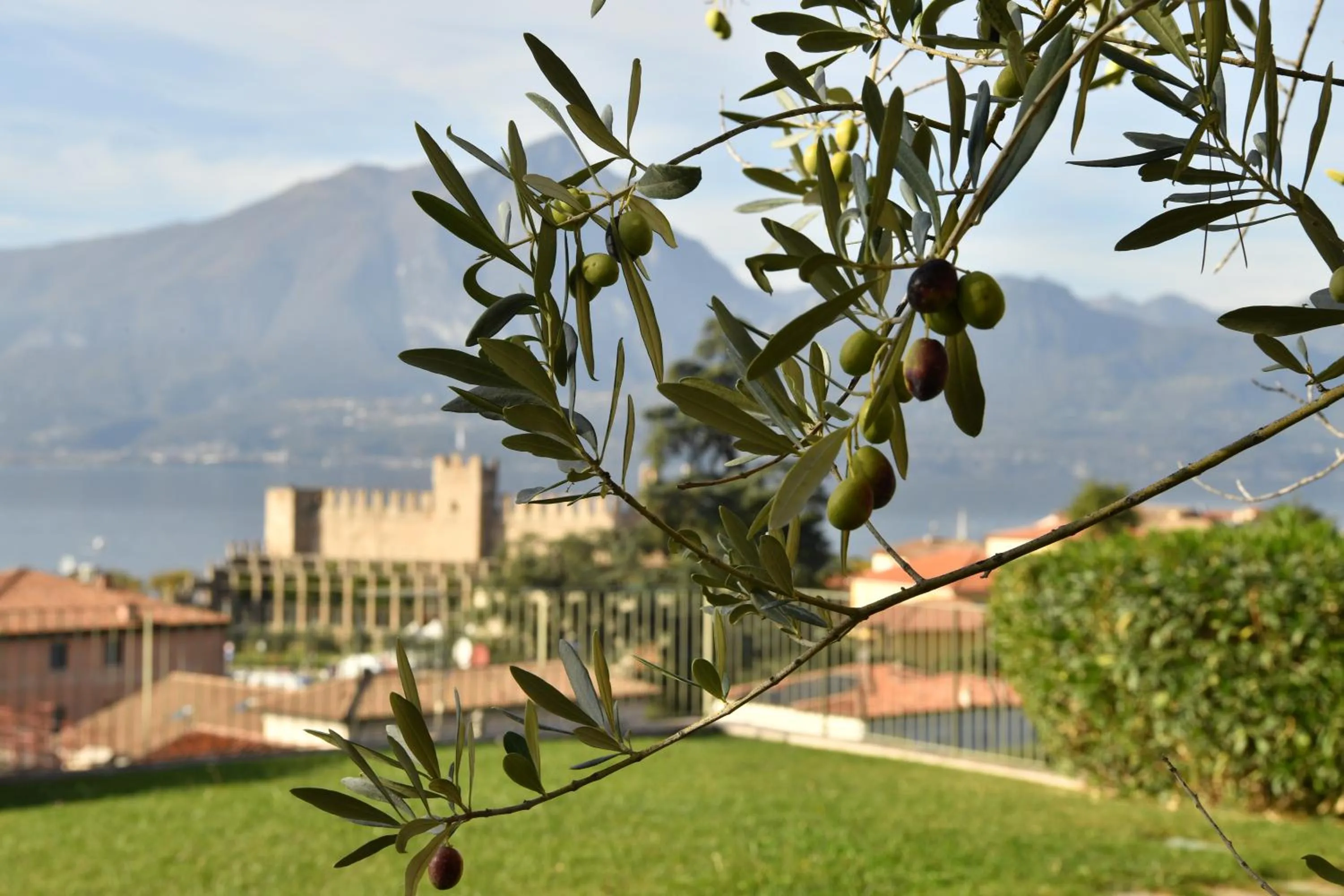 Natural landscape in Residence Ca Del Lago