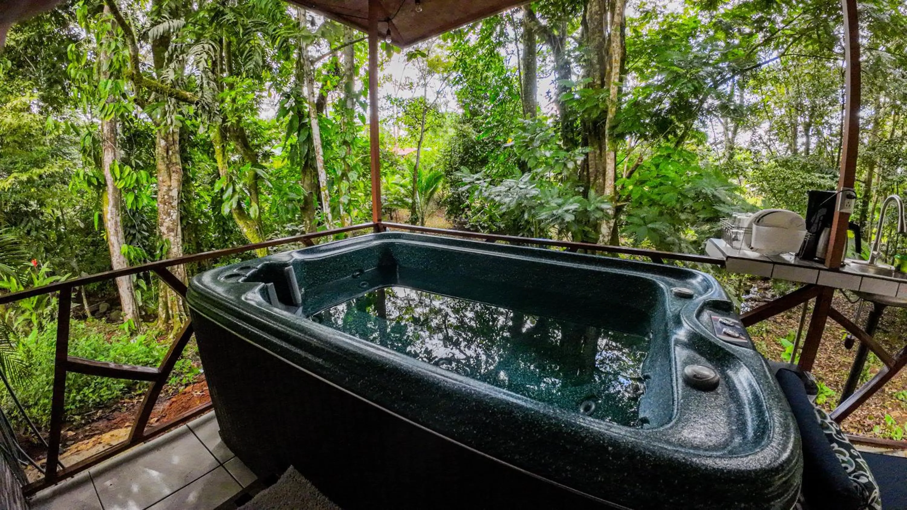 Natural landscape in Bungalows Las Iguanas Arenal Volcano