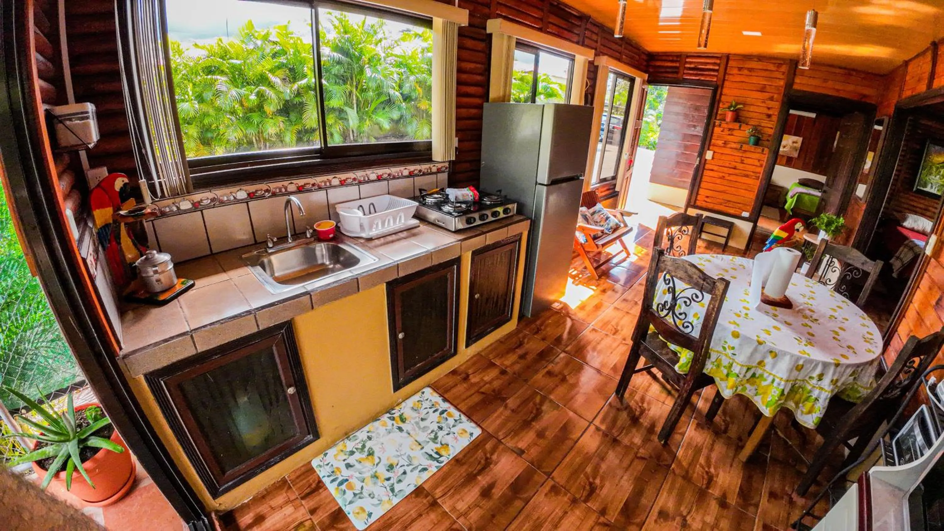 Kitchen or kitchenette in Bungalows Las Iguanas Arenal Volcano