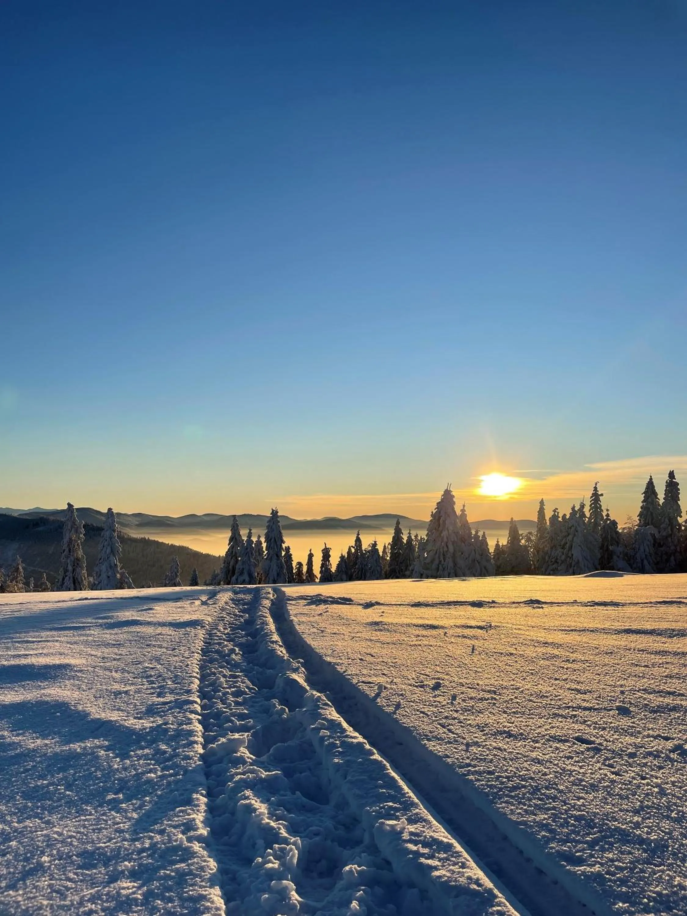 Off site in Hotel Beskid