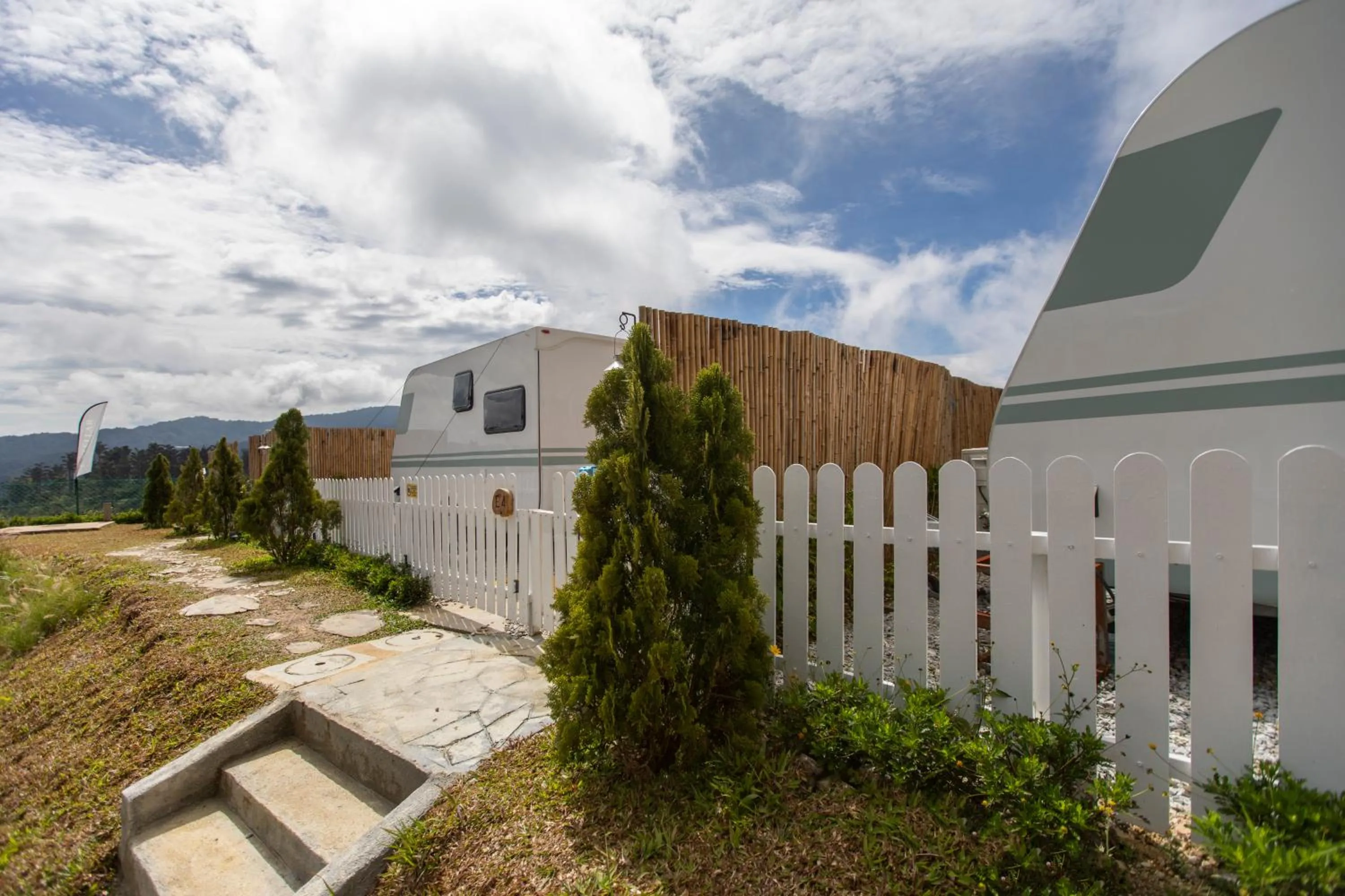 Stellar GoldenHill Cameron