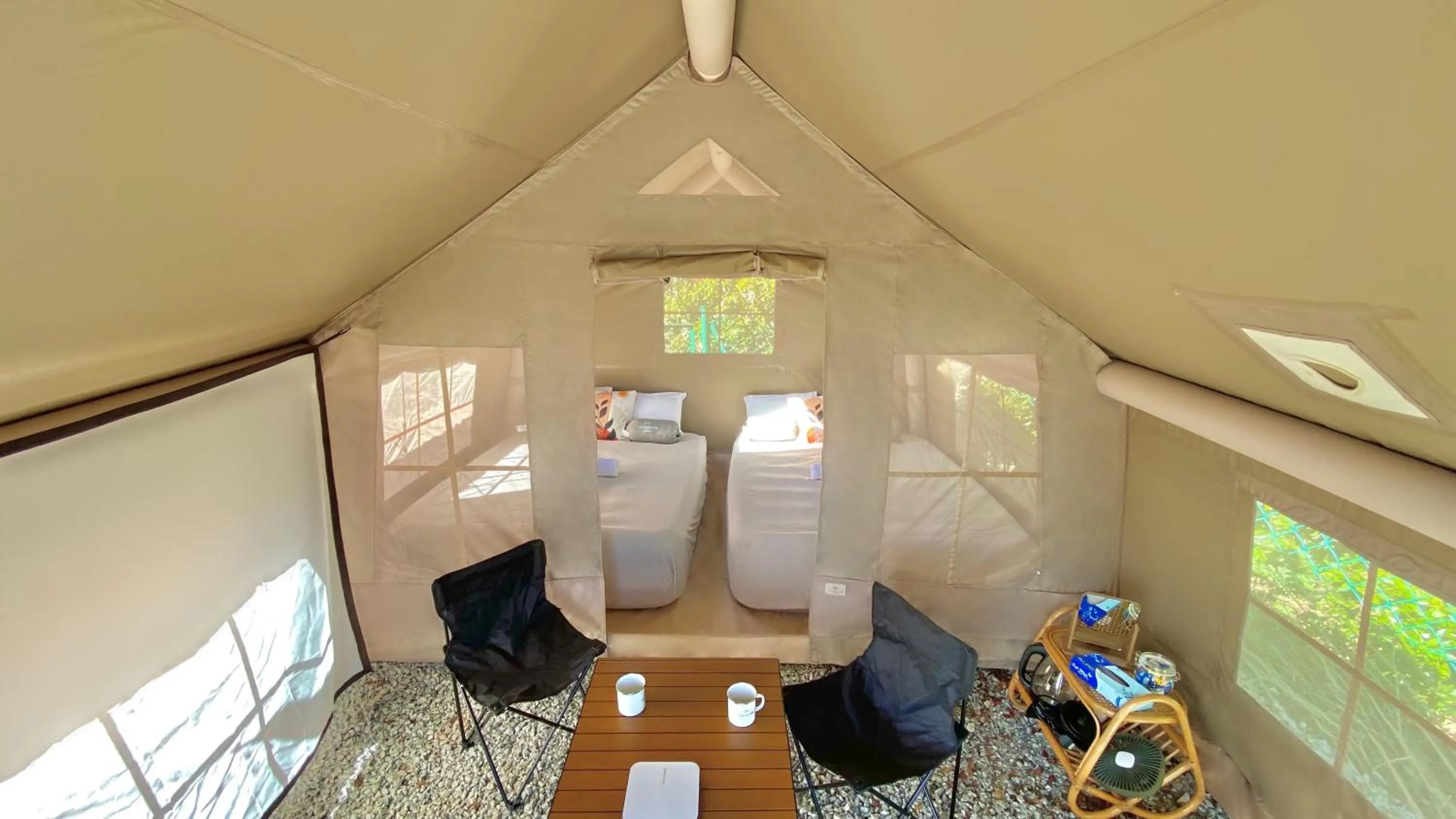 Stellar GoldenHill Cameron