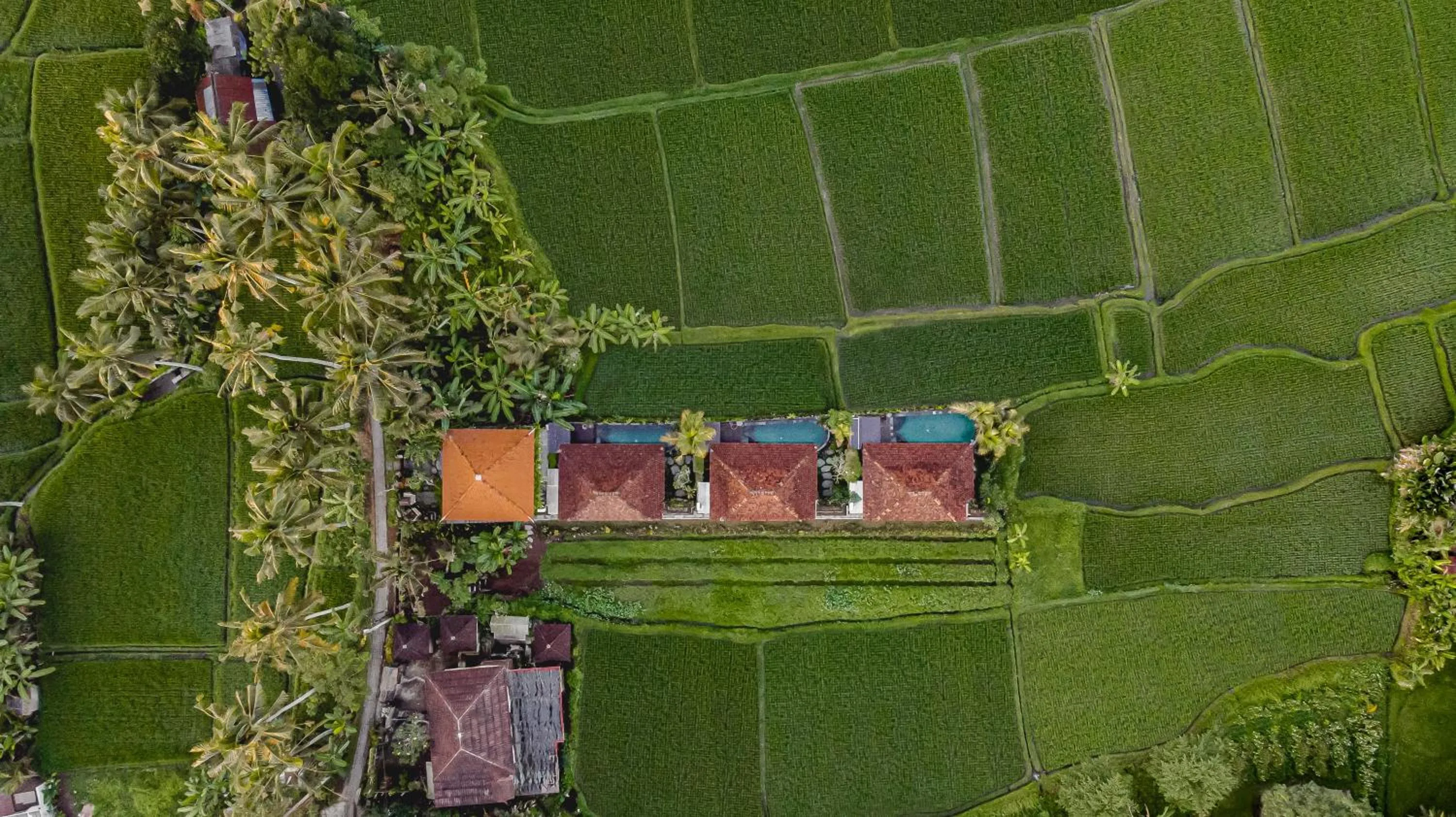 Property building in Airsania Ubud Antique Villas