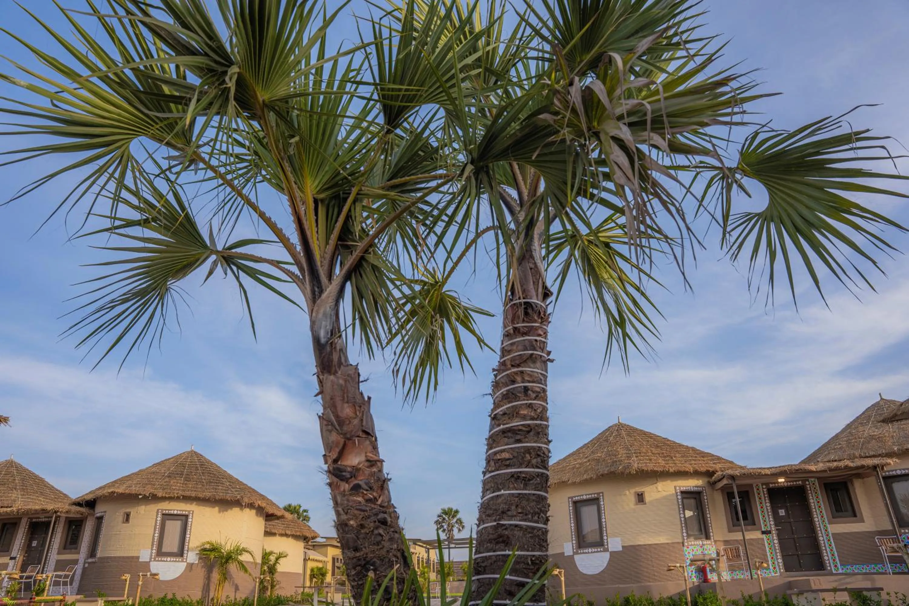 Day in The Fern Seaside Luxurious Tent Resort Diu