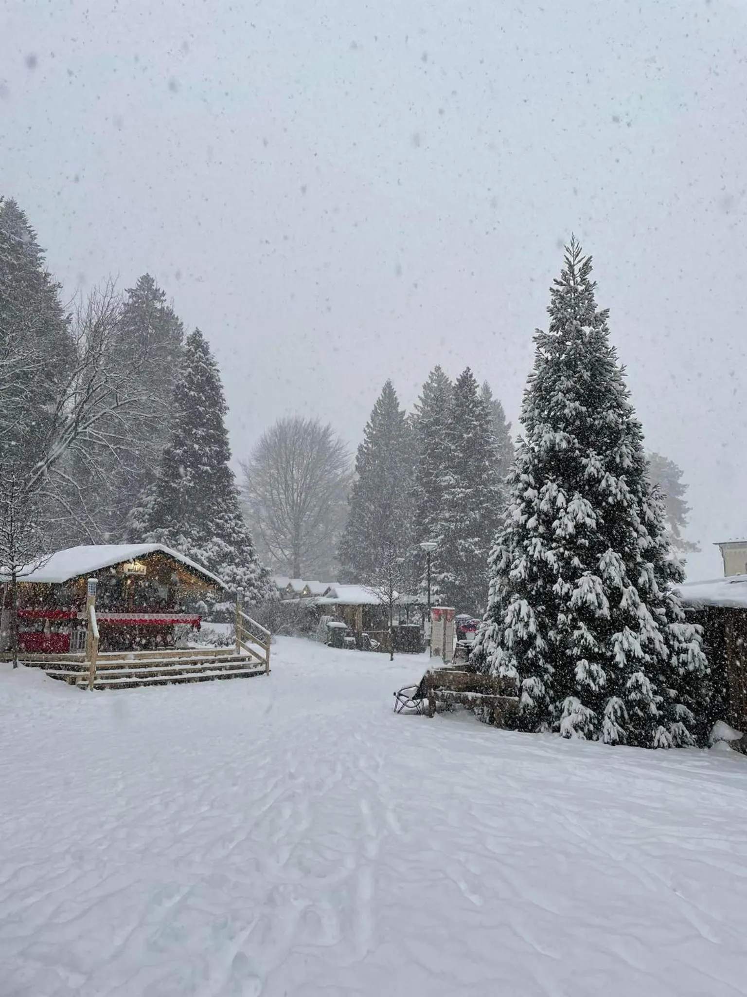 Winter in Nature Bio Hotel Elite