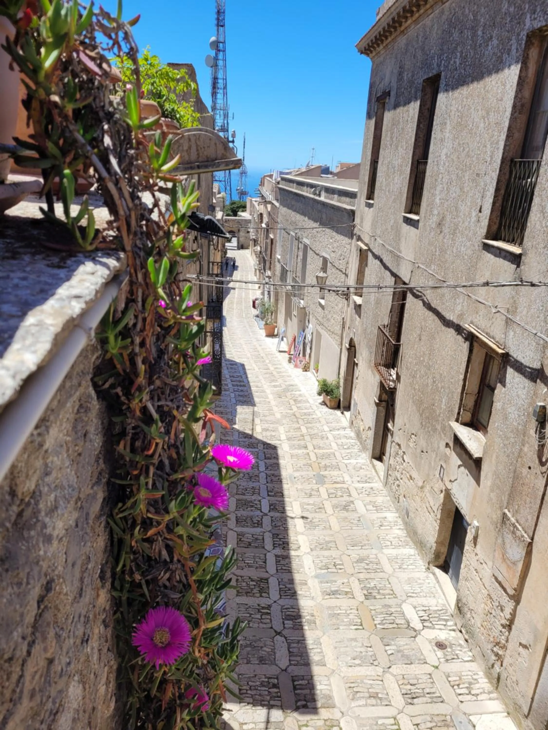 Facade/entrance in Hotel Elimo
