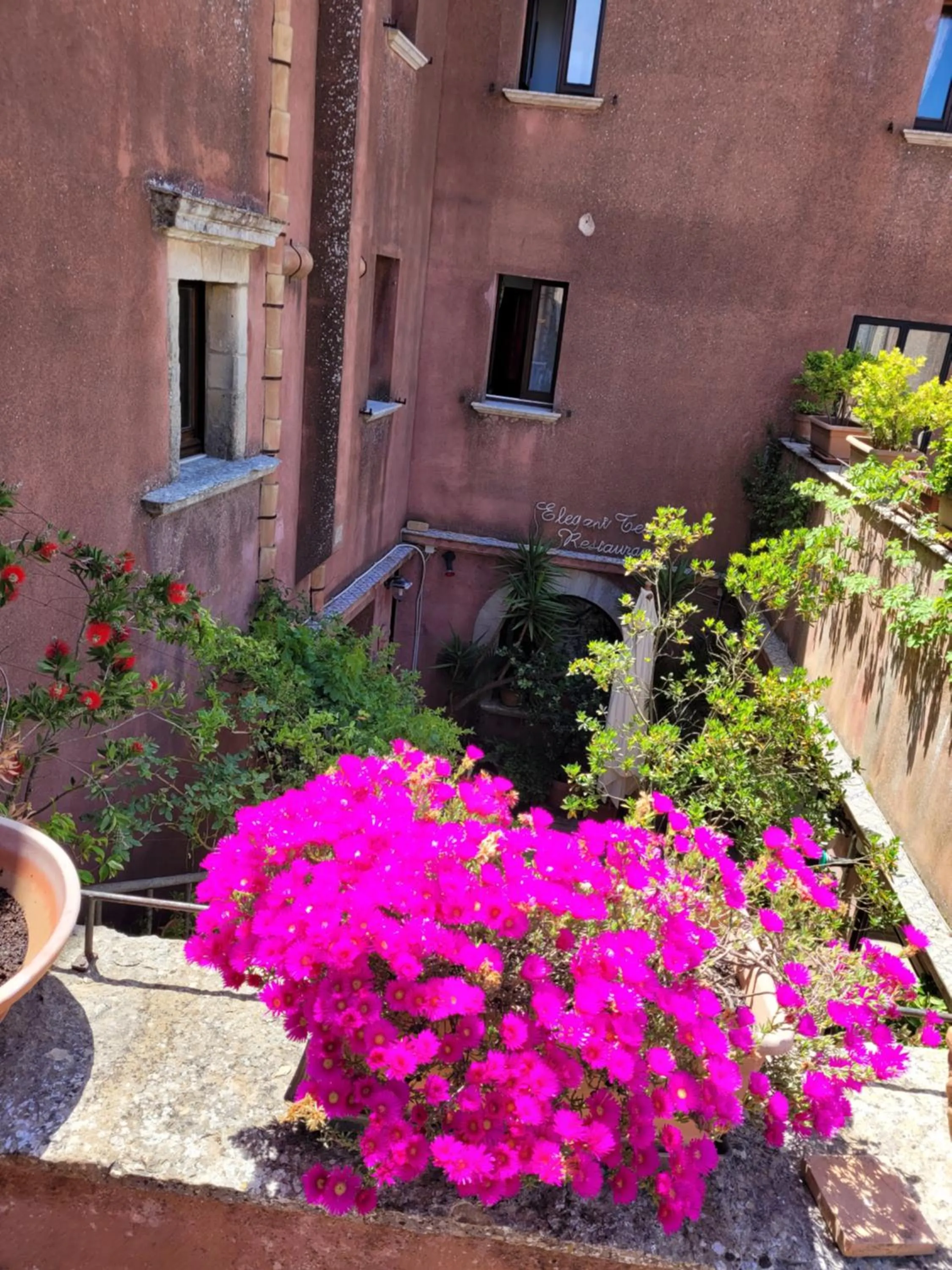 Garden in Hotel Elimo