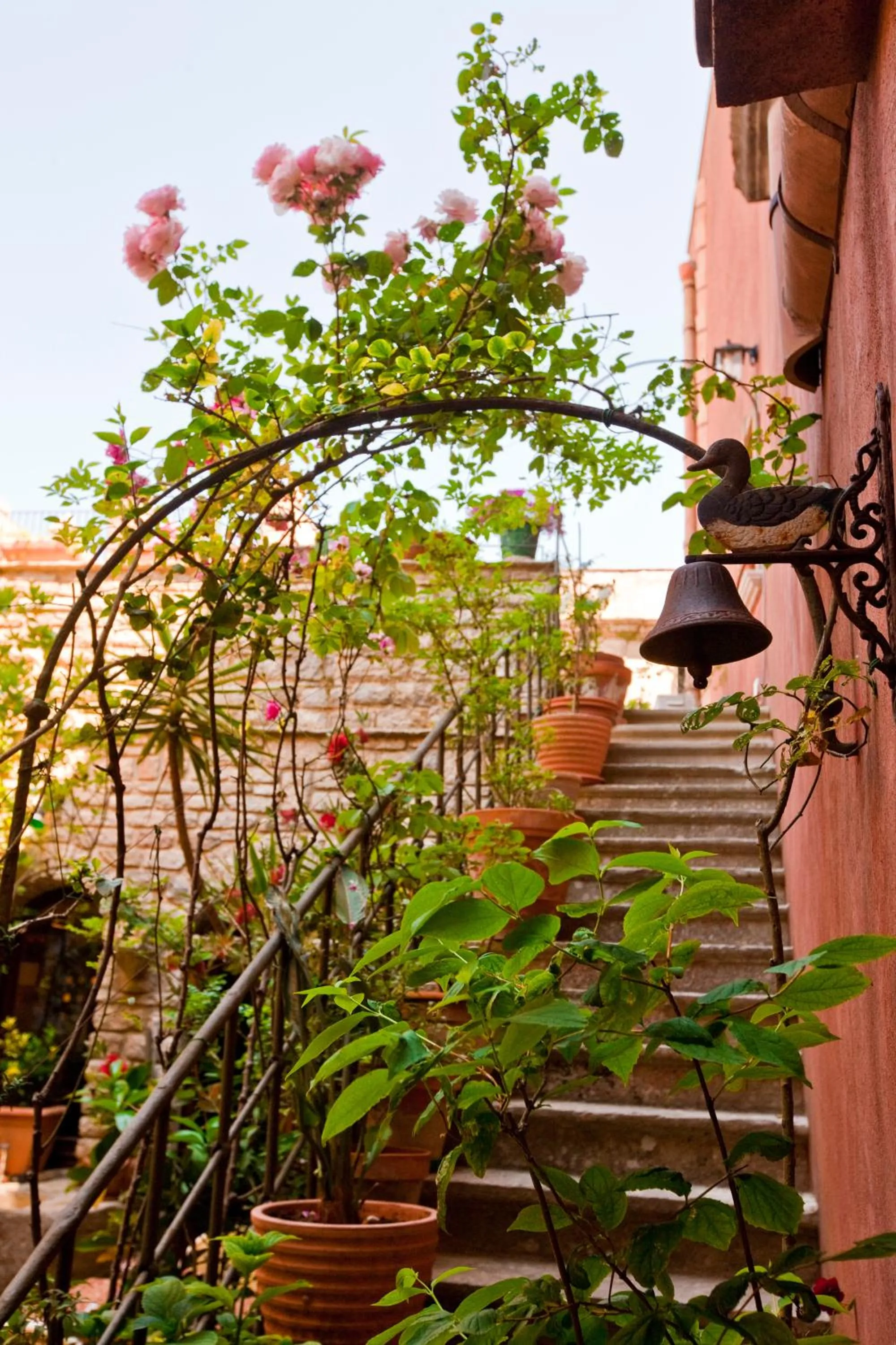 Garden in Hotel Elimo
