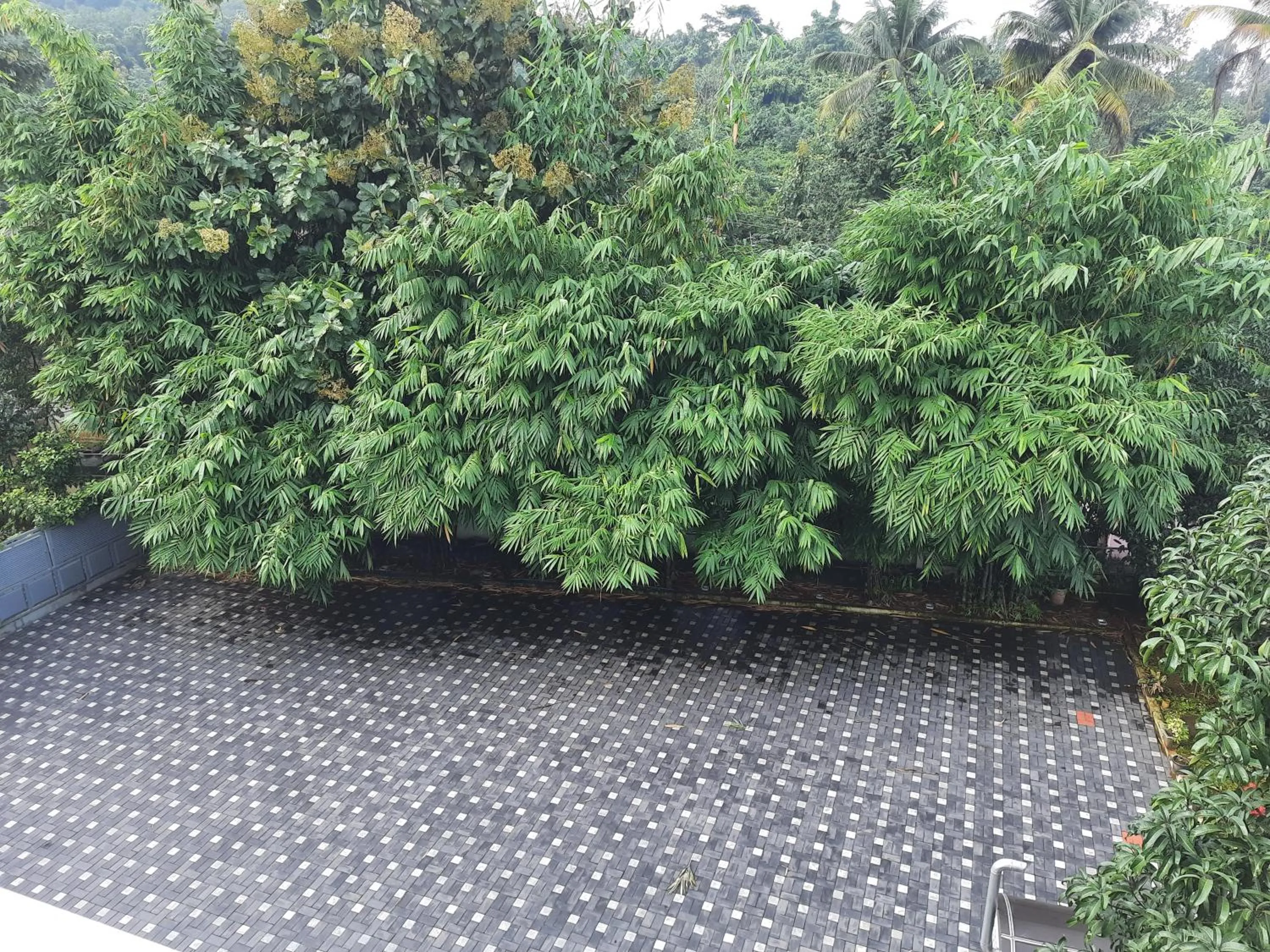 View (from property/room) in Emerald Royal Residency