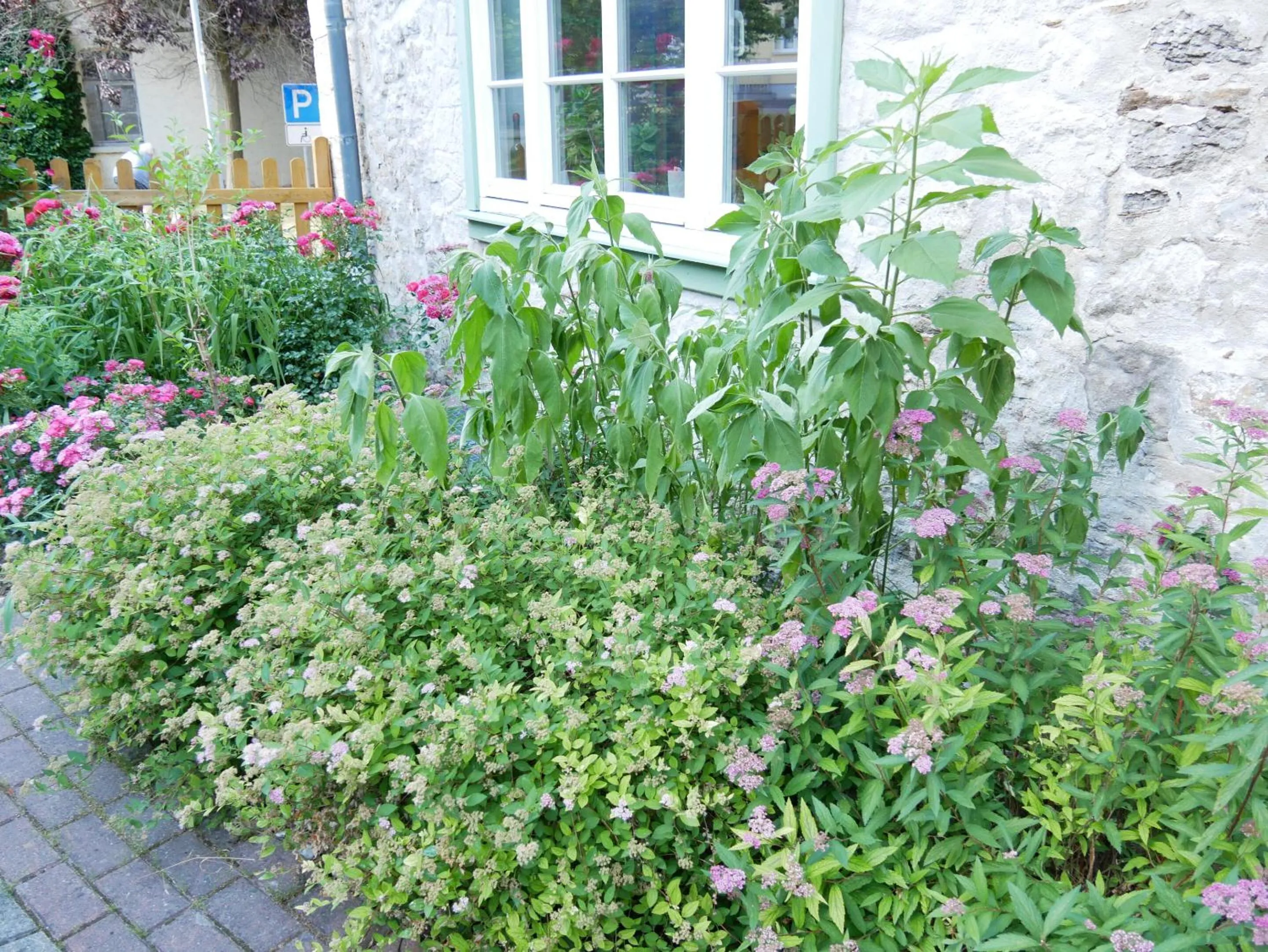 Garden in Schloss Goldacker - das Schloss der Gesundheit