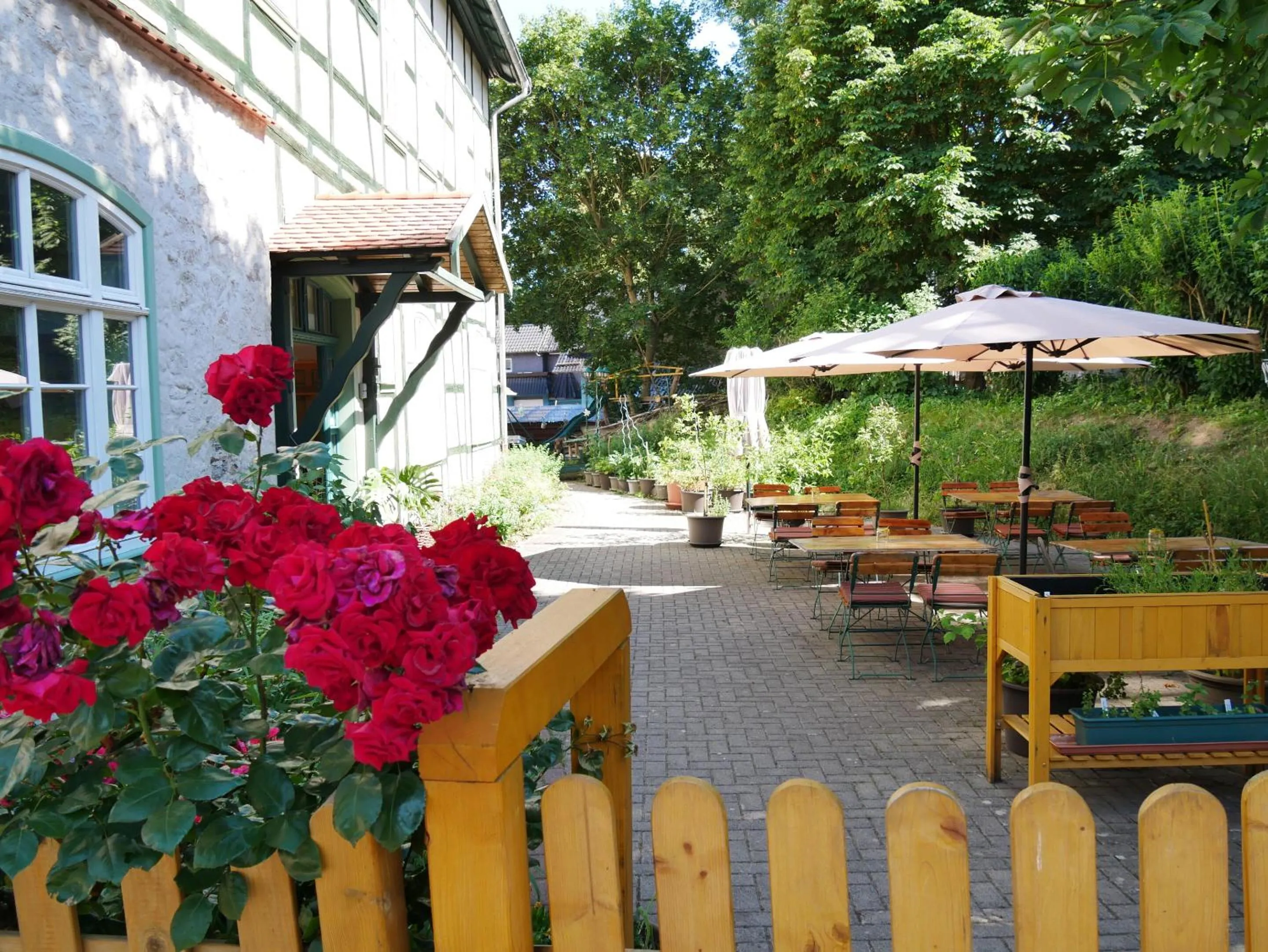 Patio in Schloss Goldacker - das Schloss der Gesundheit