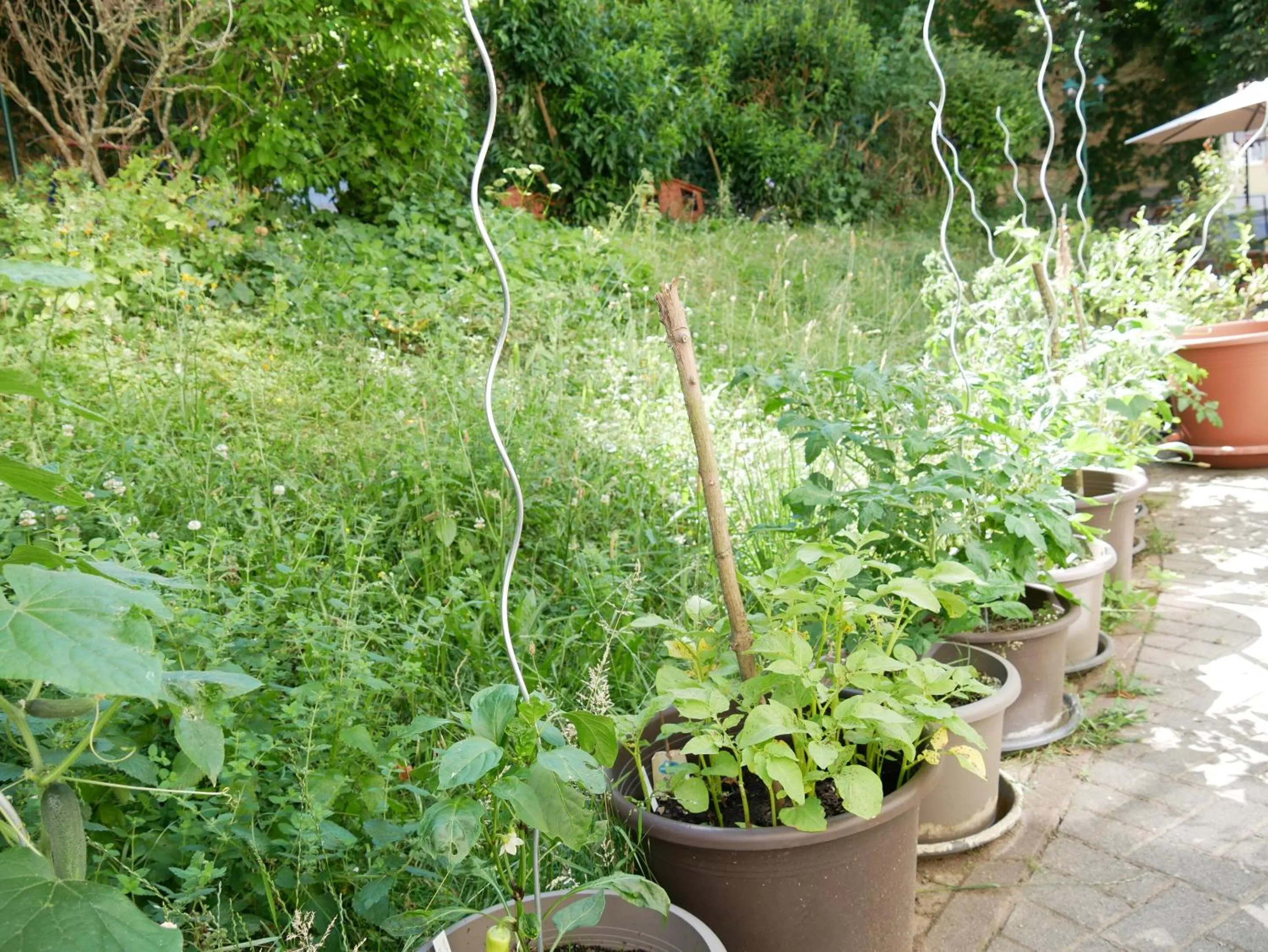 Garden in Schloss Goldacker - das Schloss der Gesundheit
