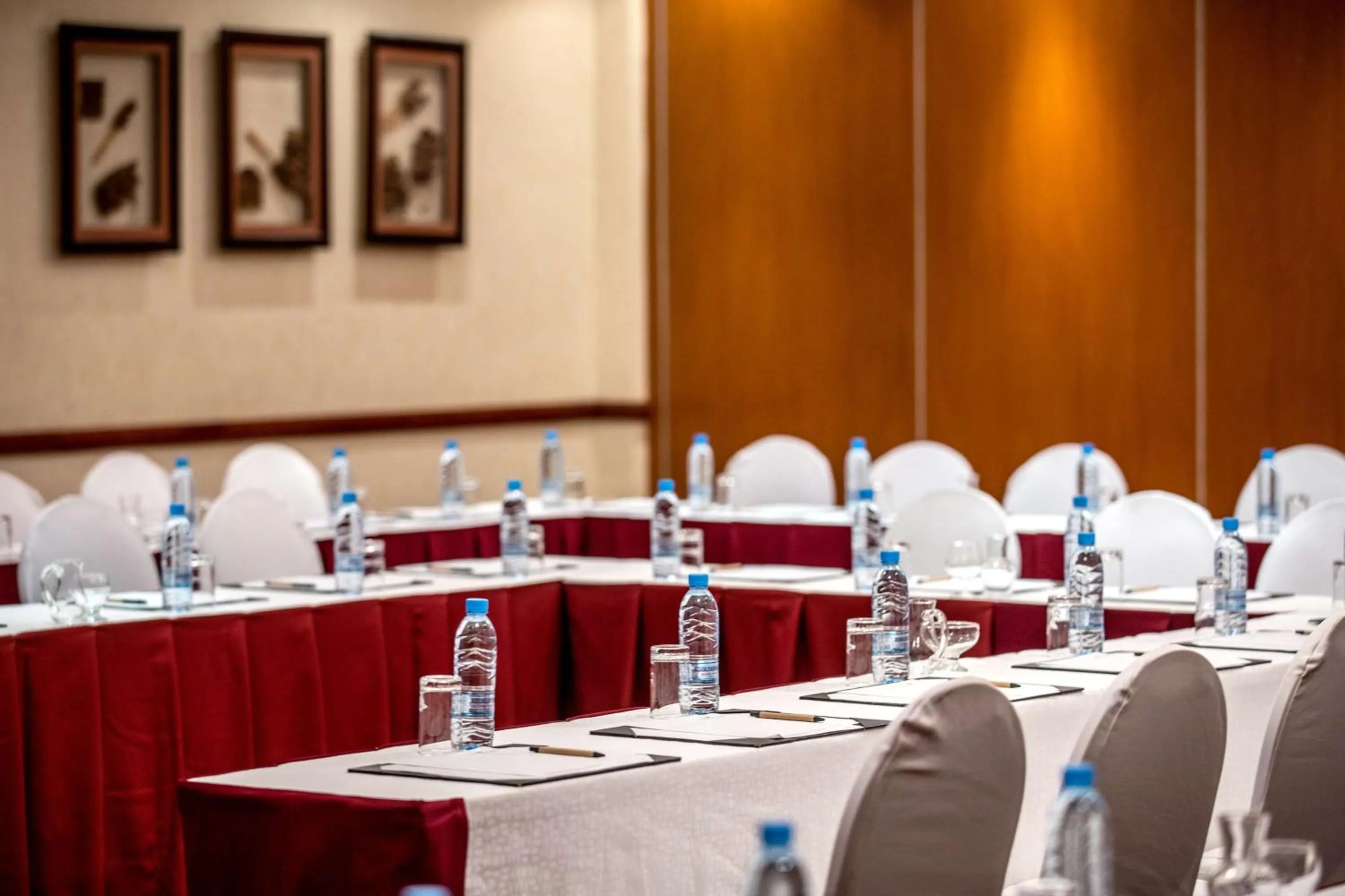 Meeting/conference room in Southern Sun Ridgeway Lusaka