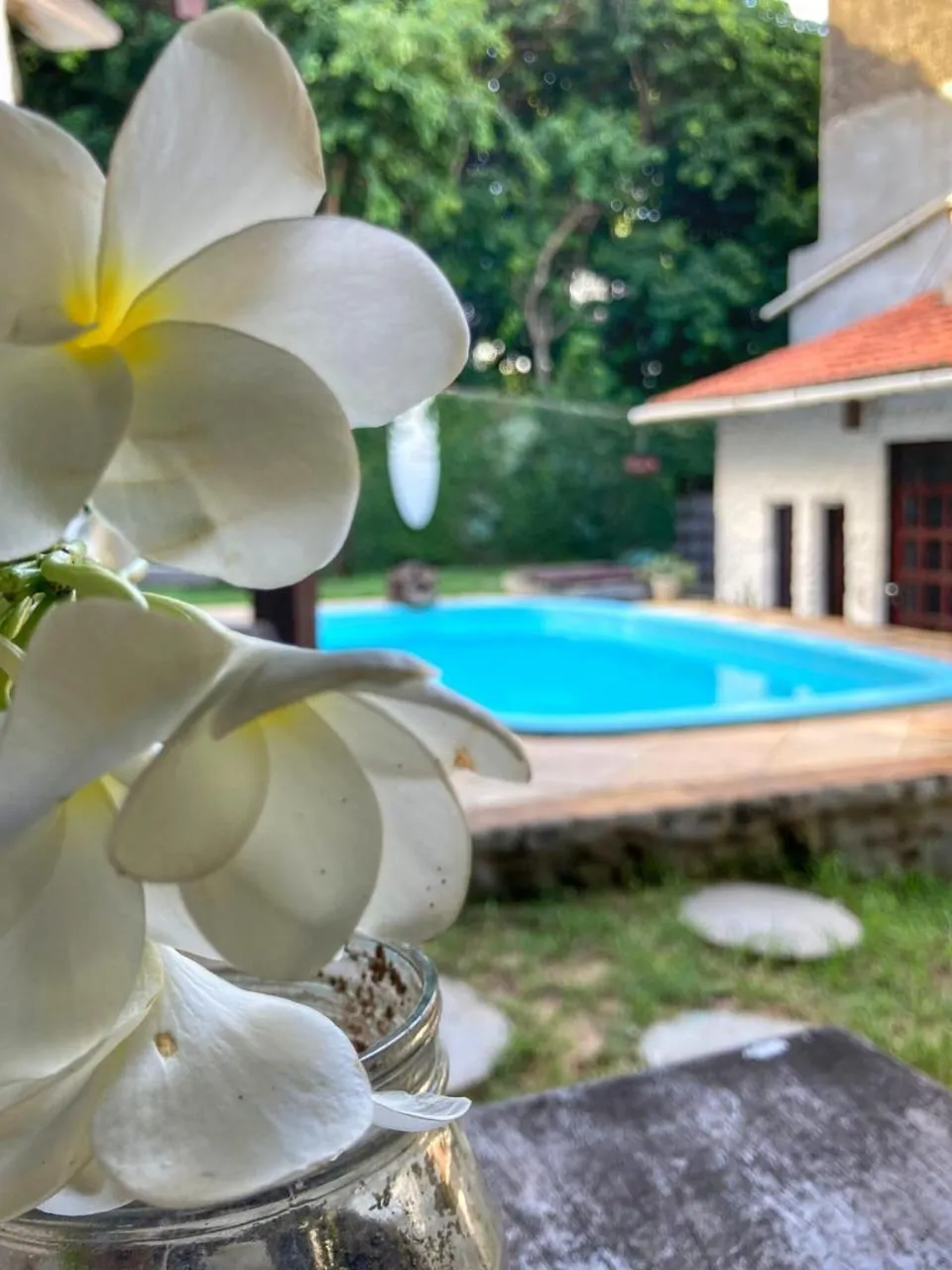 Garden in Pousada Toa Toa Em Pipa