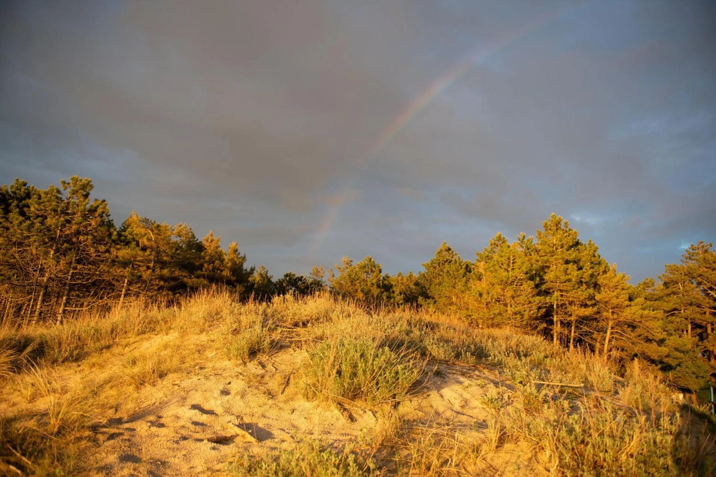 Natural landscape in Interferie Dąbki SU Argentyt