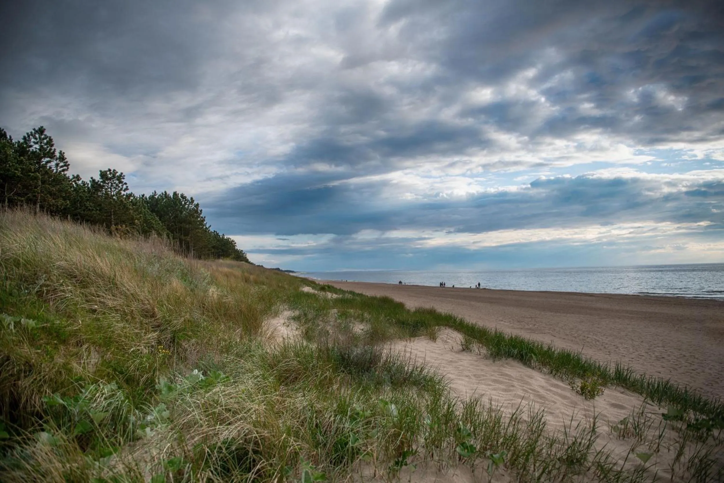 Natural landscape in Interferie Dąbki SU Argentyt