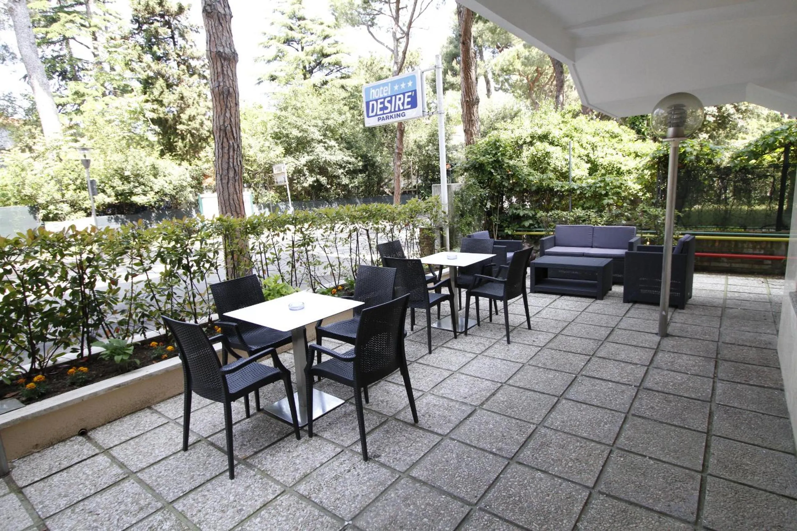 Garden in Hotel Desire'