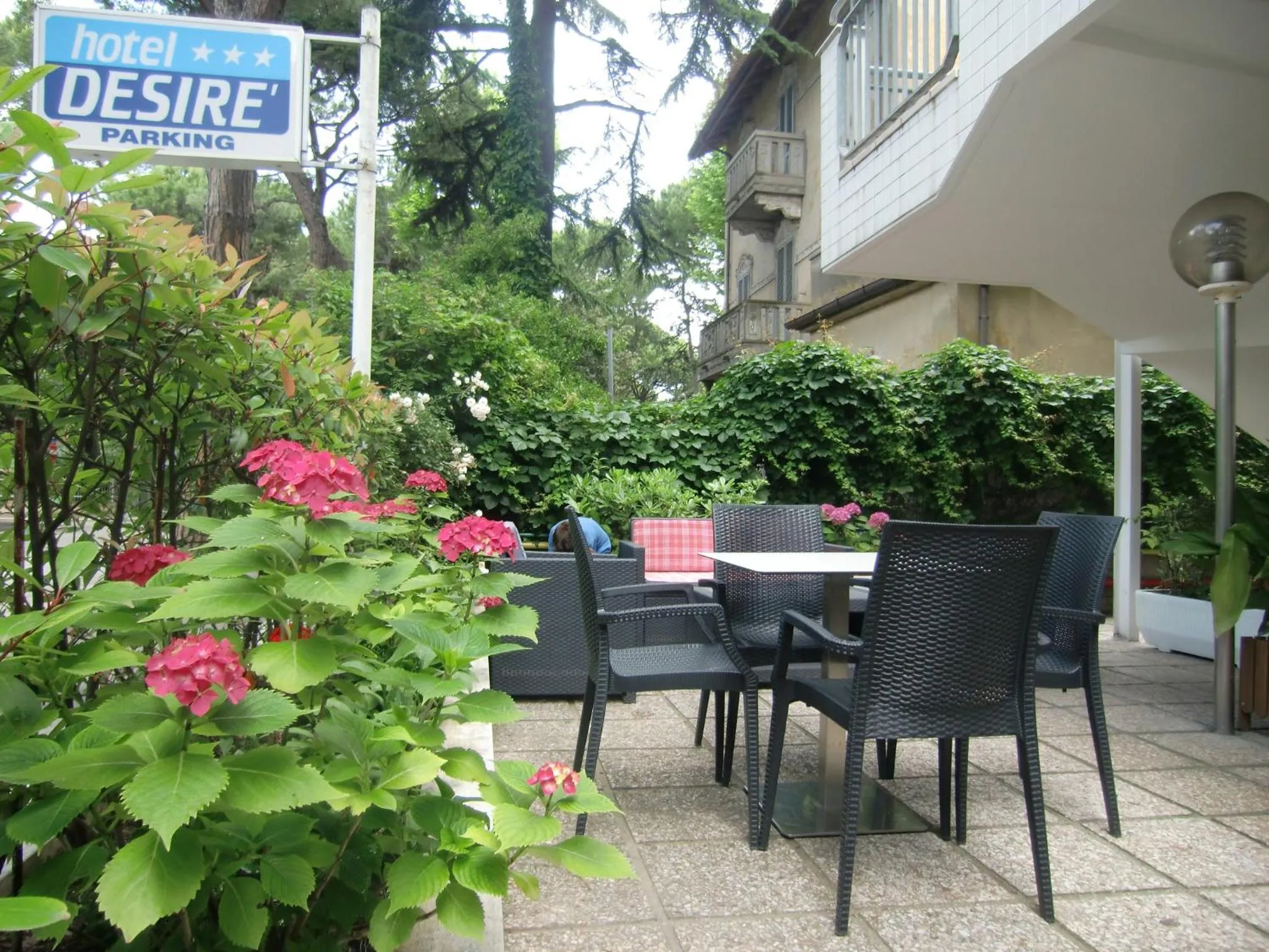 Garden in Hotel Desire'