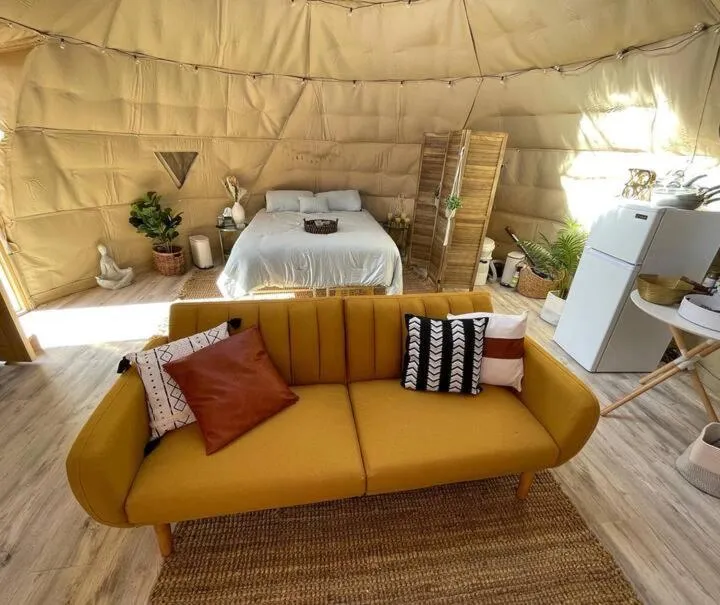 Day in Sage Desert Dreams