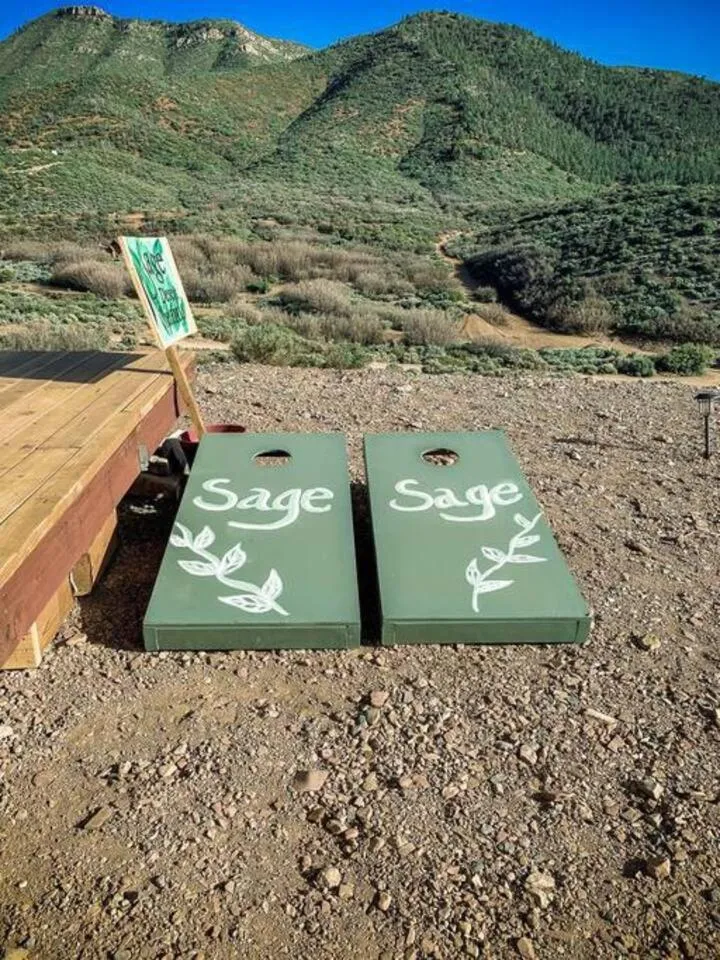 Spring in Sage Desert Dreams