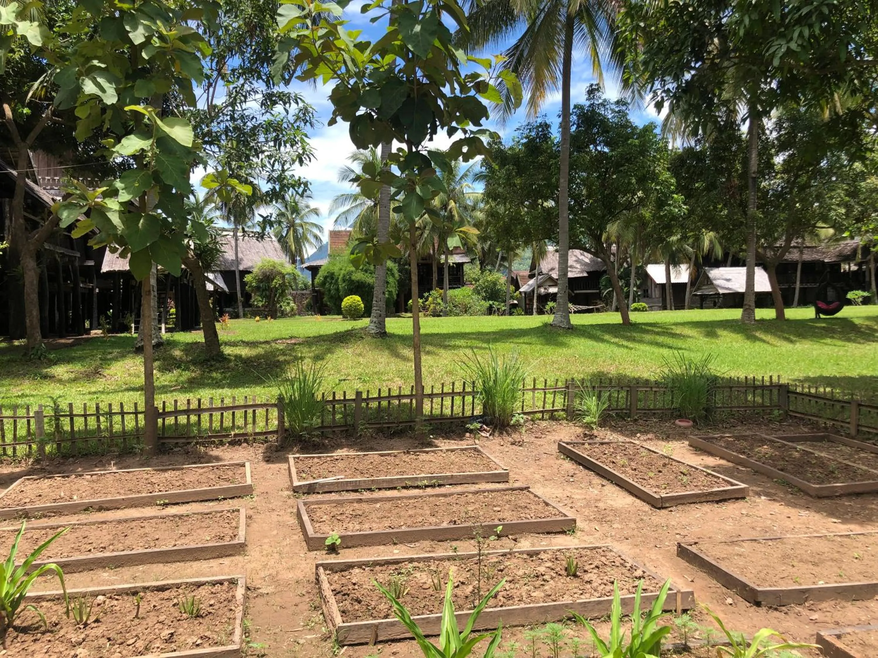 View (from property/room) in On The Mekong Resort