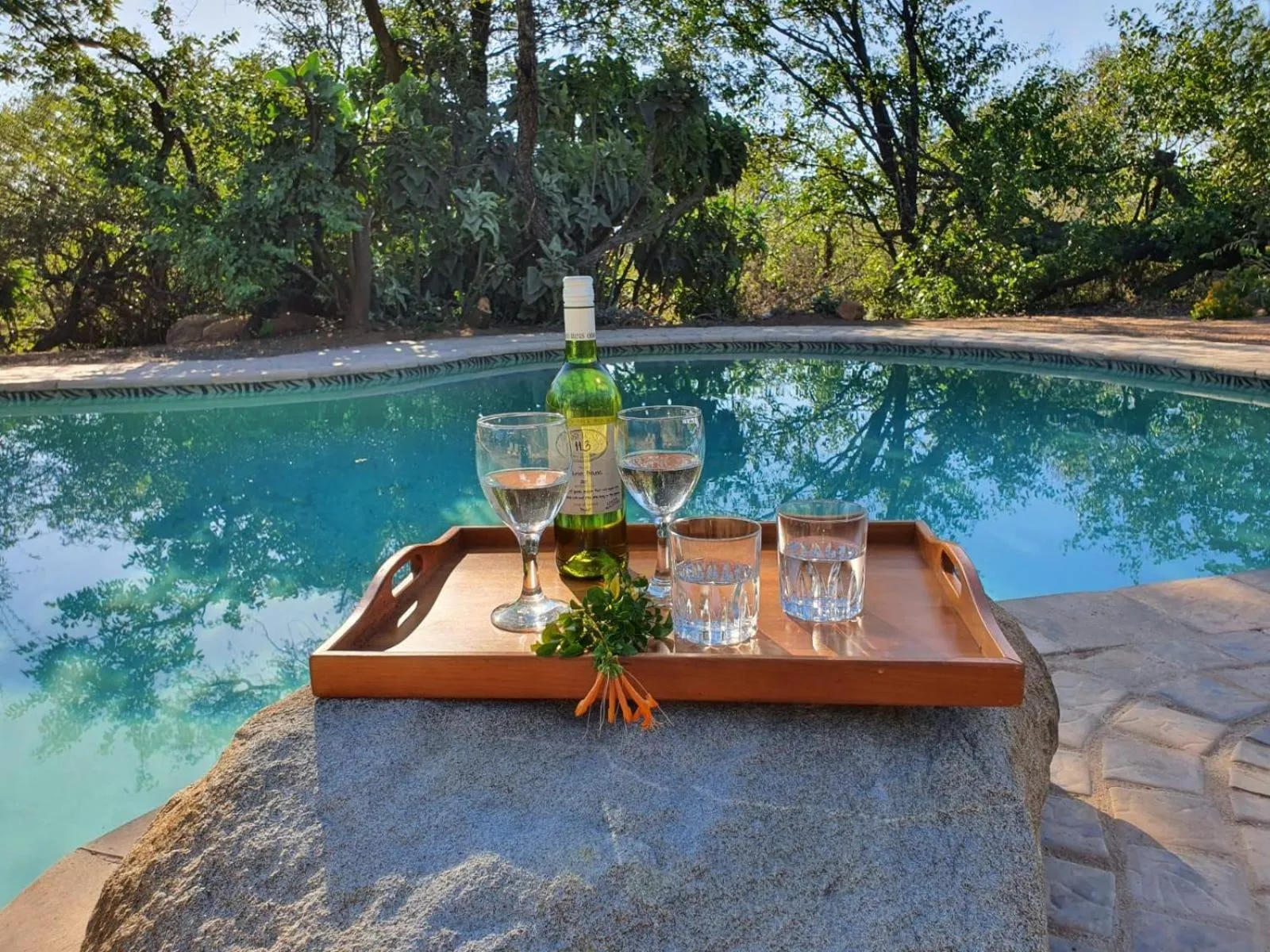 Swimming pool in Masorini Bush Lodge & Safari Tents