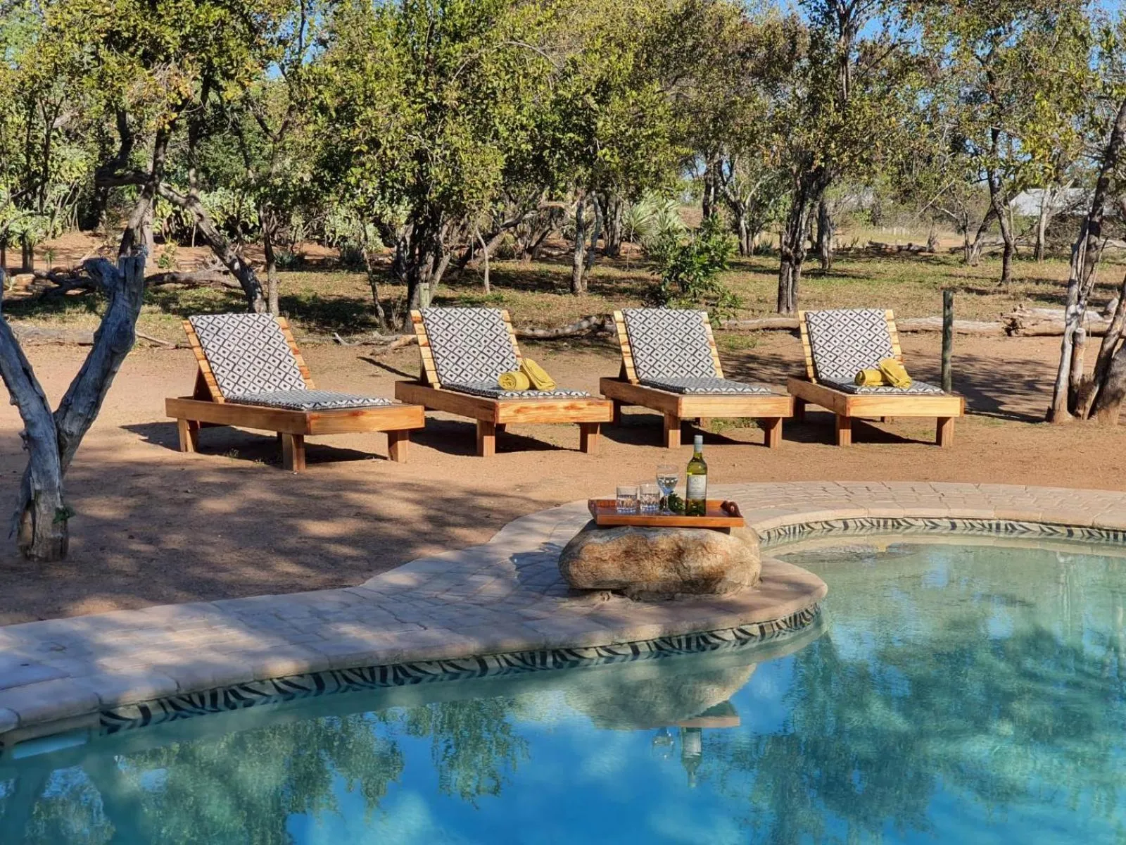 Swimming pool in Masorini Bush Lodge & Safari Tents