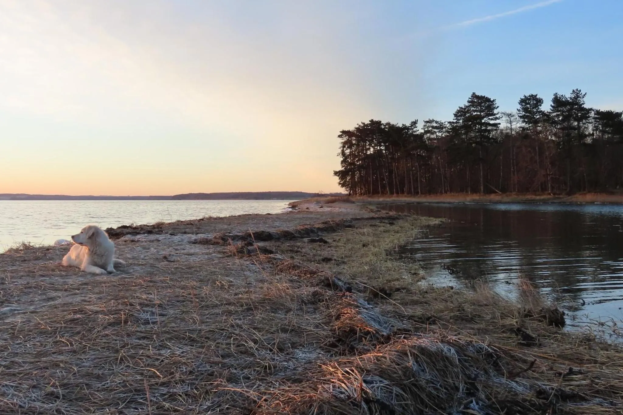 Natural landscape in Hørby Færgekro