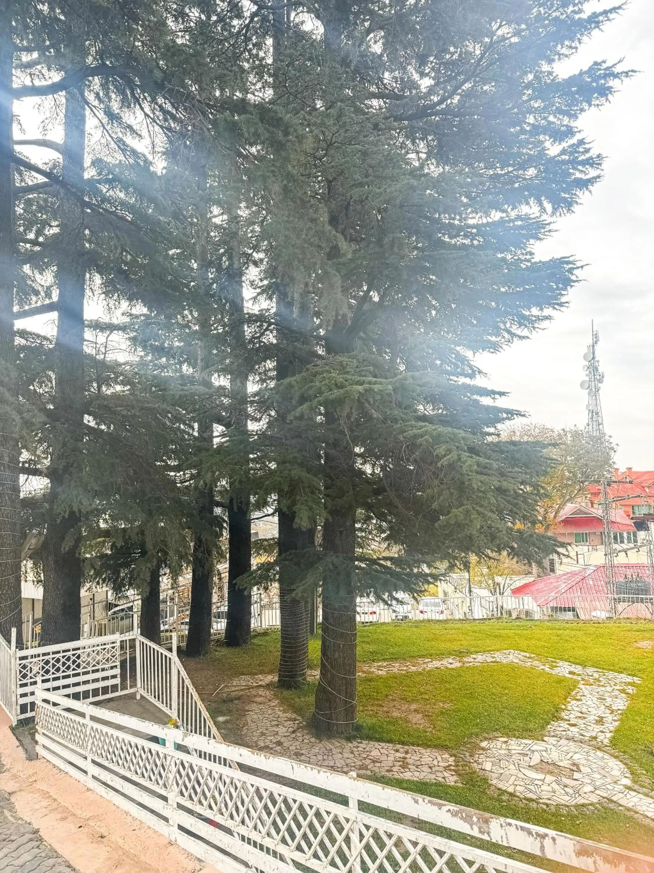 Garden in Metropole Hotel