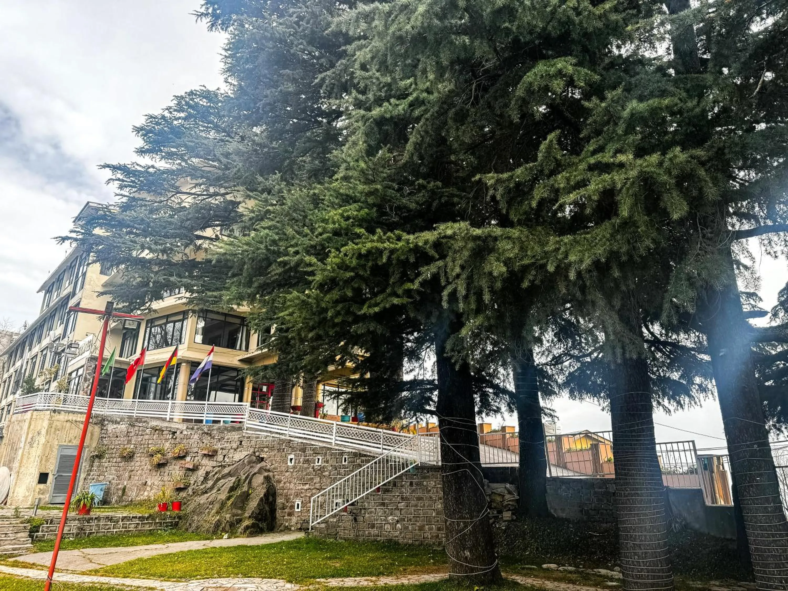 Garden in Metropole Hotel