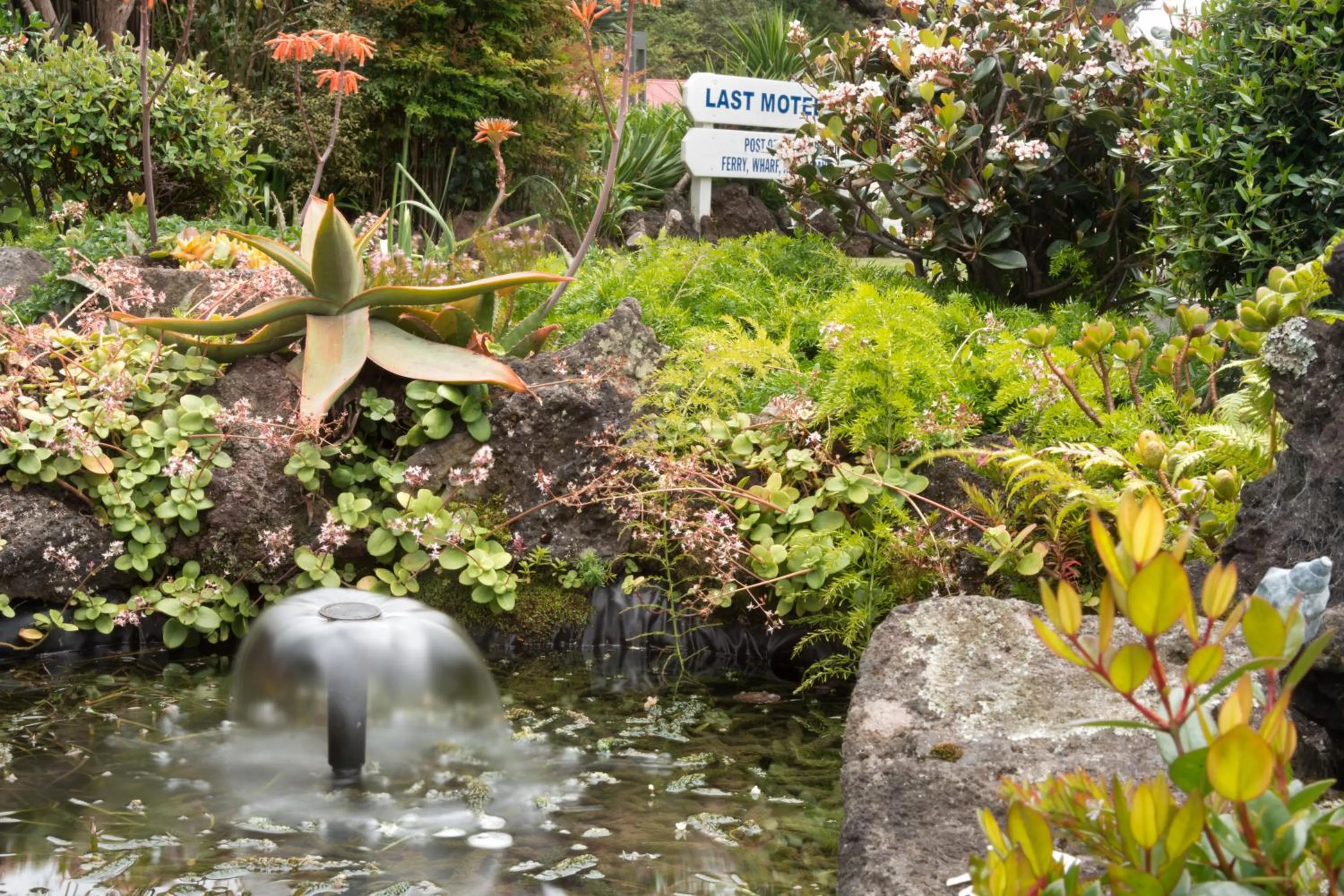 Garden in Ala Moana Motel