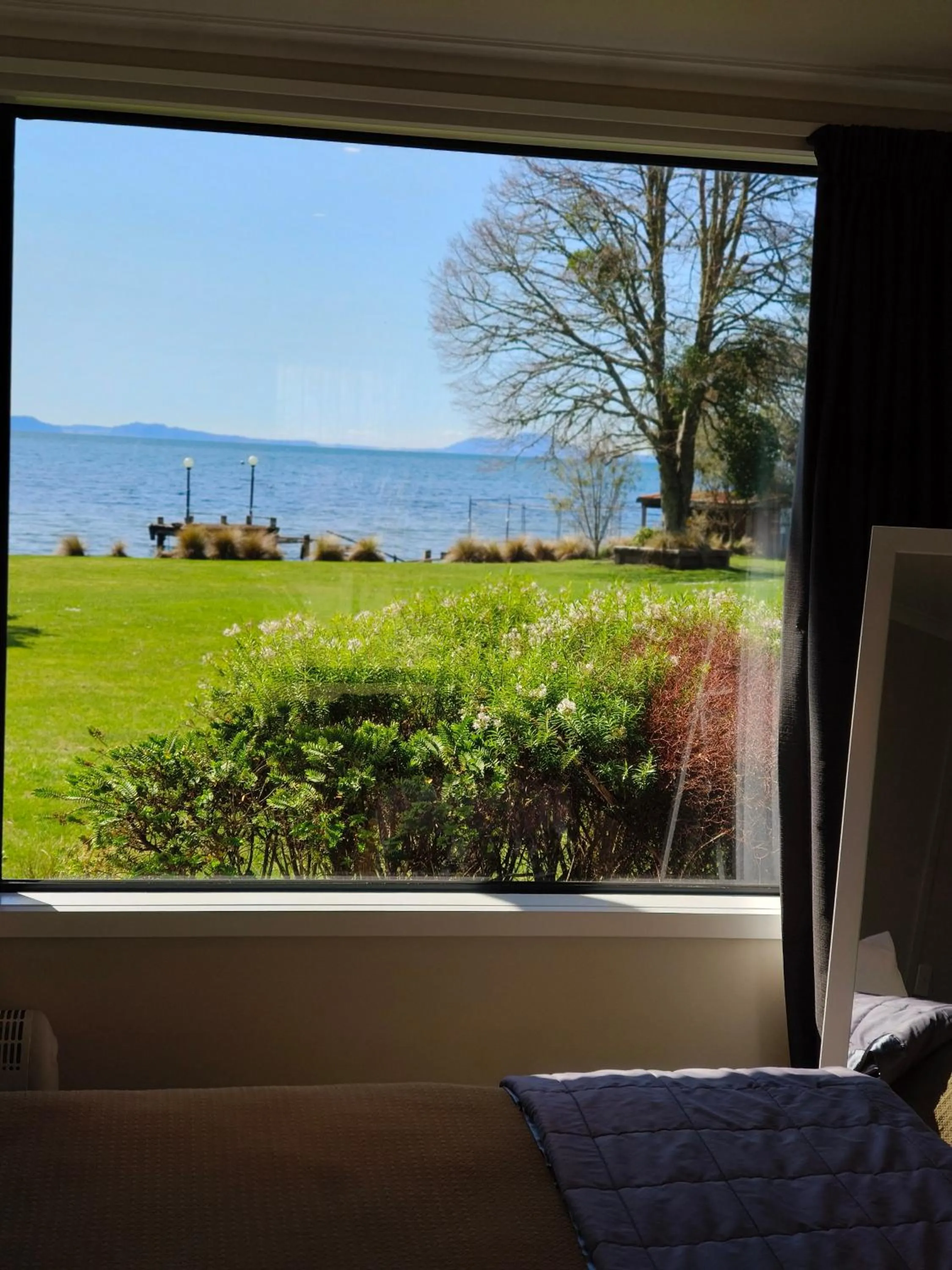 Spring in Braxmere Lodge