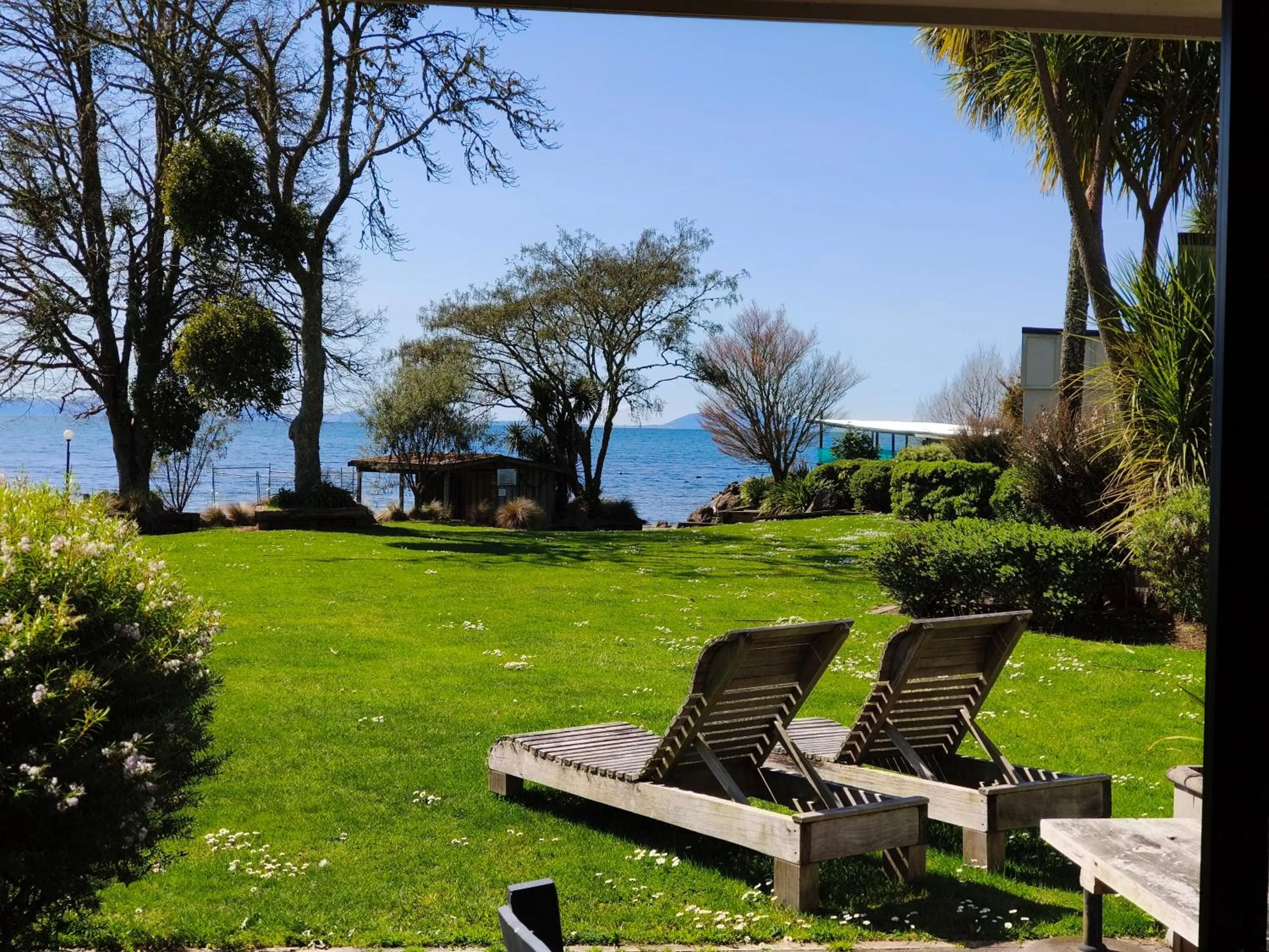 Spring in Braxmere Lodge