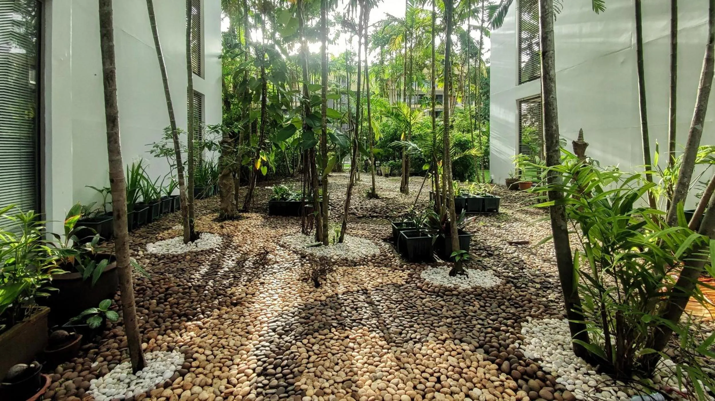 Garden in Casuarina Shores Apartment - SHA Plus