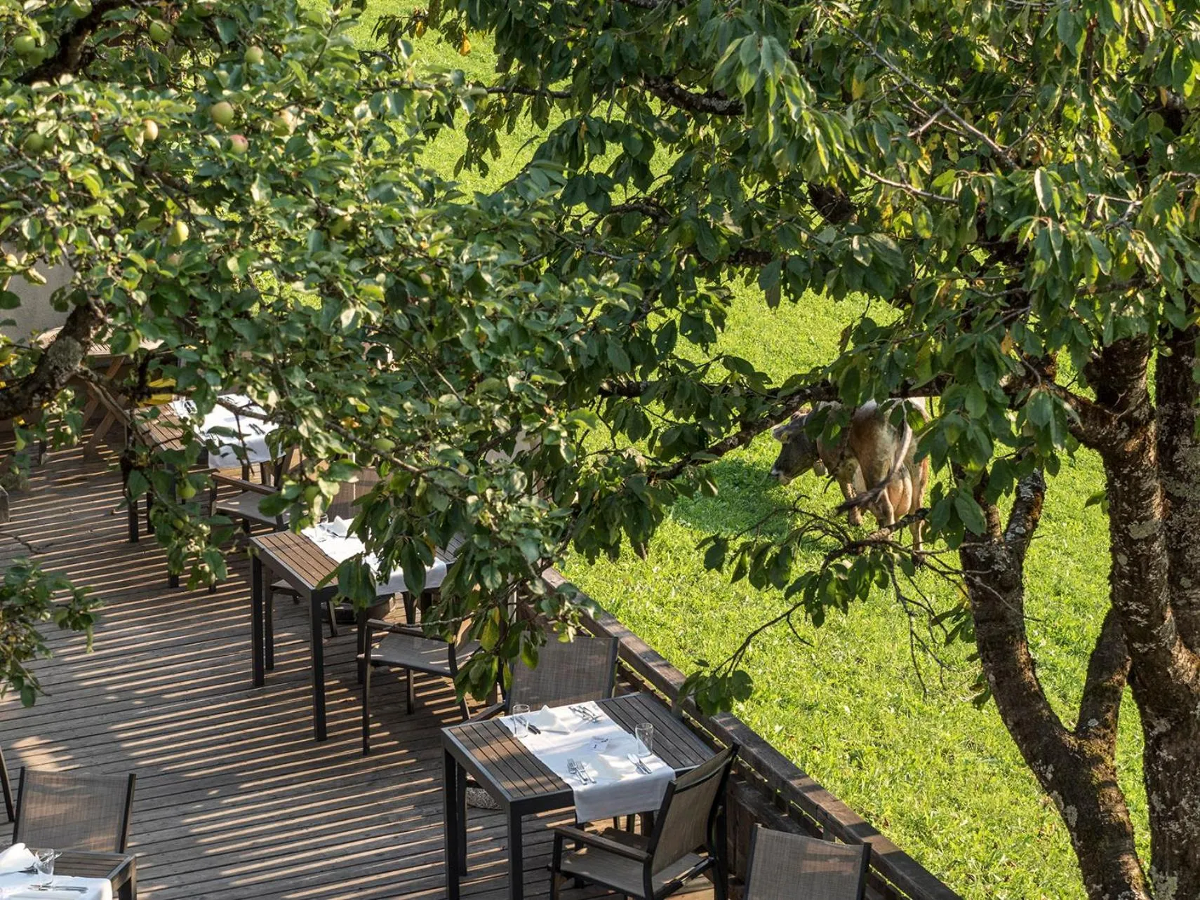 Restaurant/places to eat in Naturhotel Saalerwirt