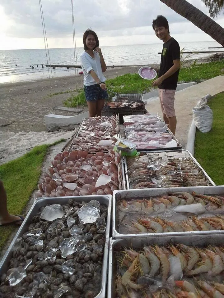 Dinner in Meet The Sea