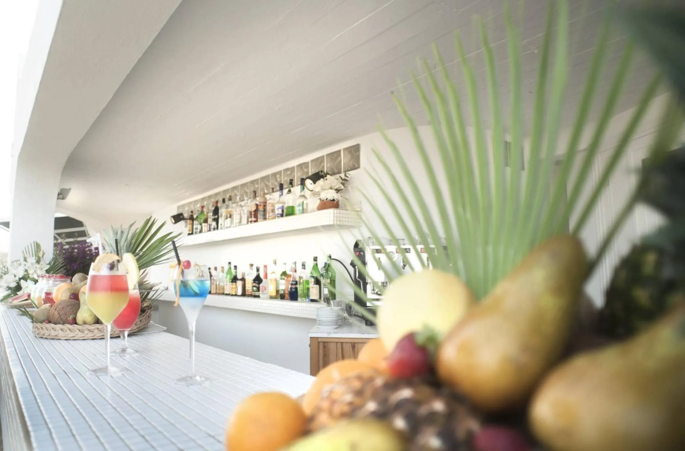 Lounge or bar in Circeo Park Hotel