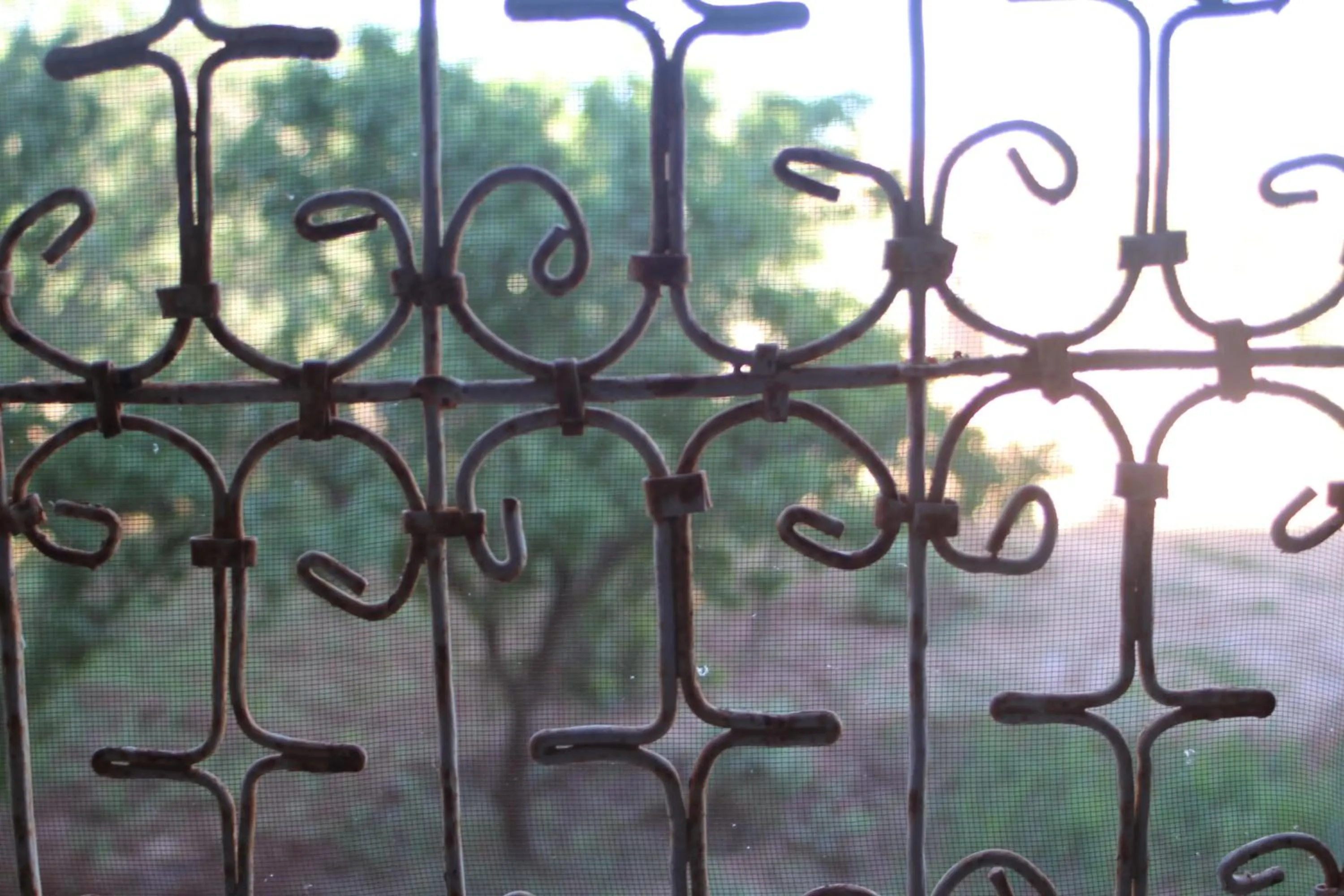 Garden view in auberge restau tombouctou