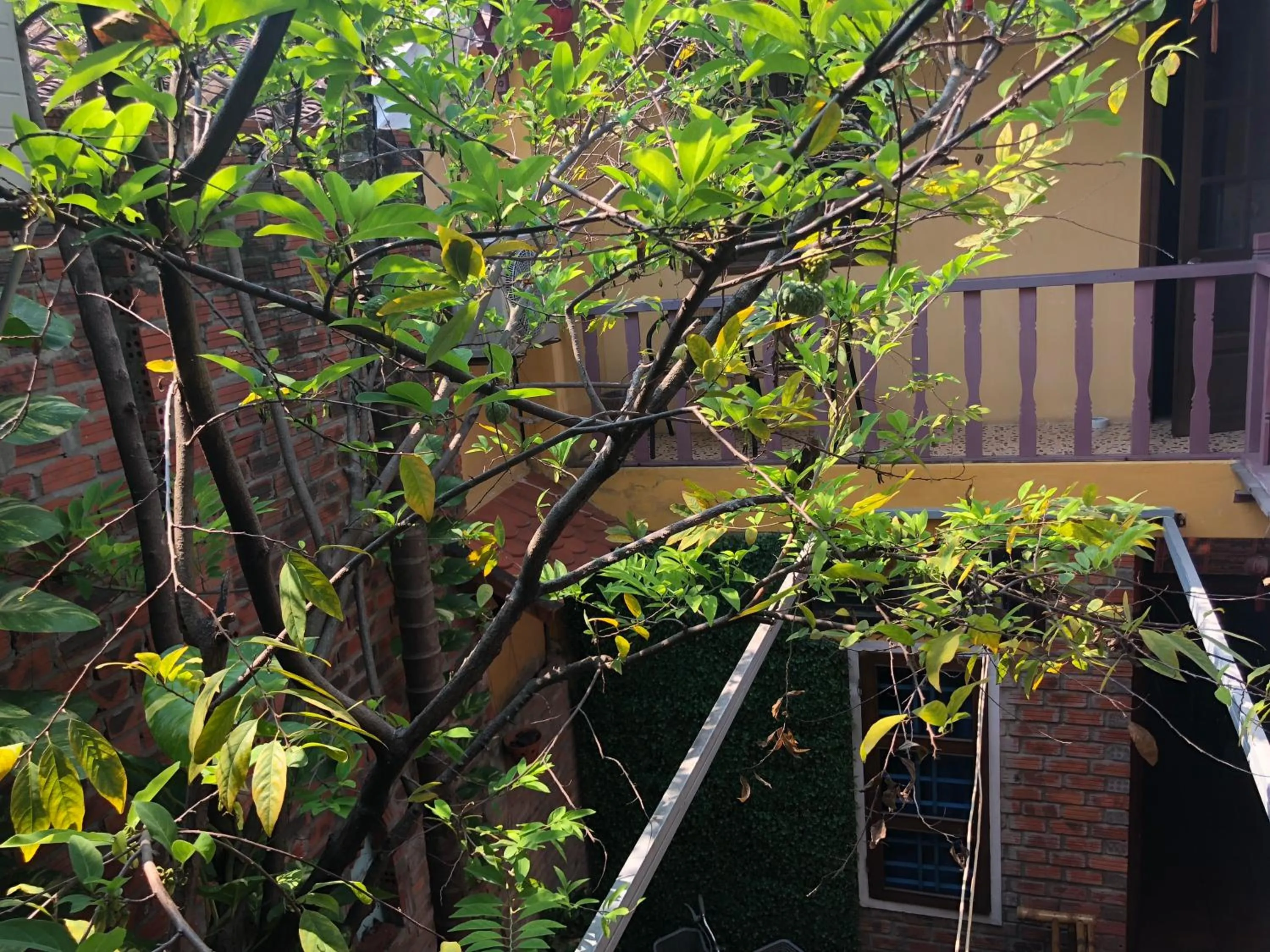 Patio in Nha Lan Homestay