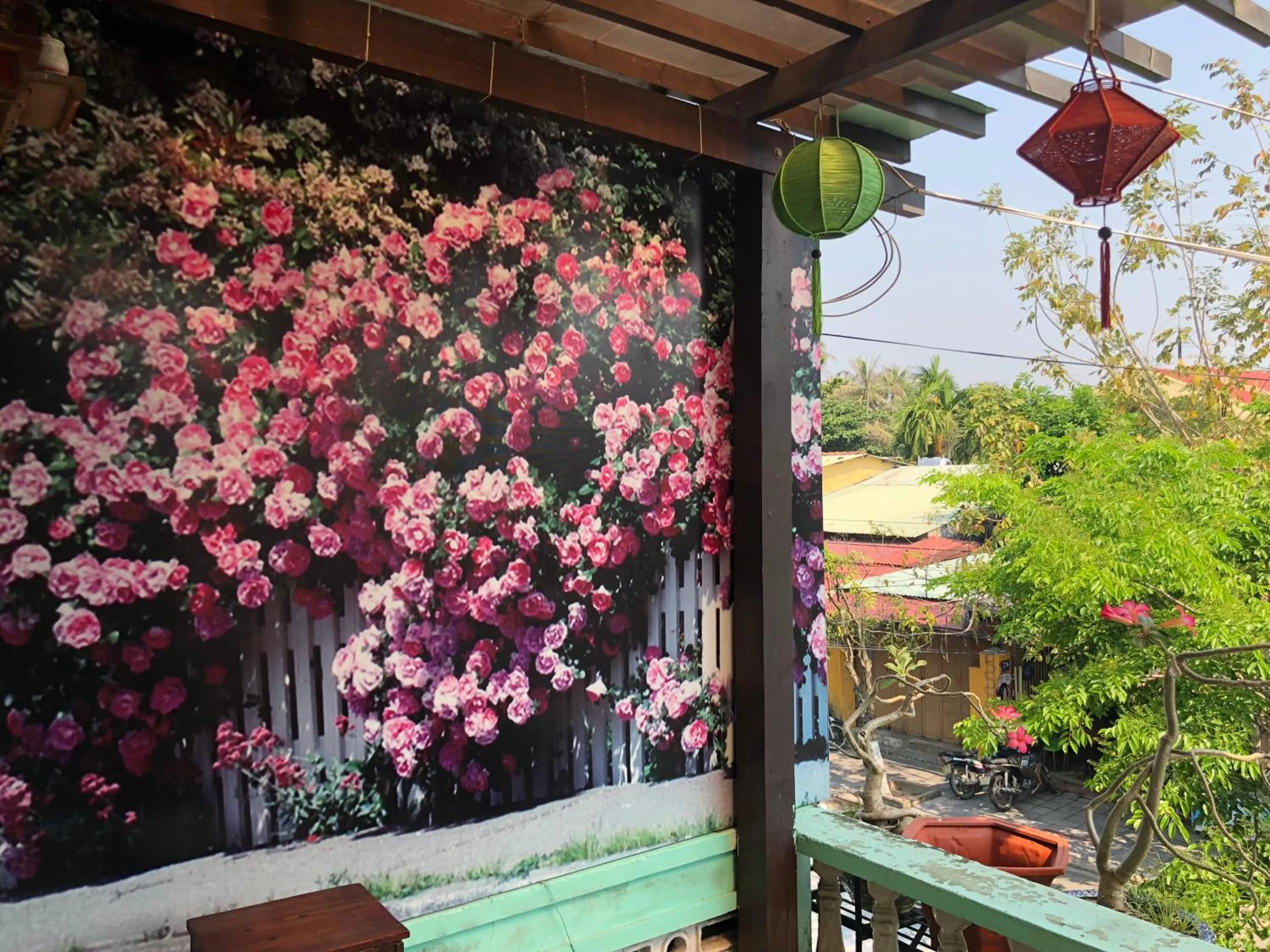 Spring in Nha Lan Homestay