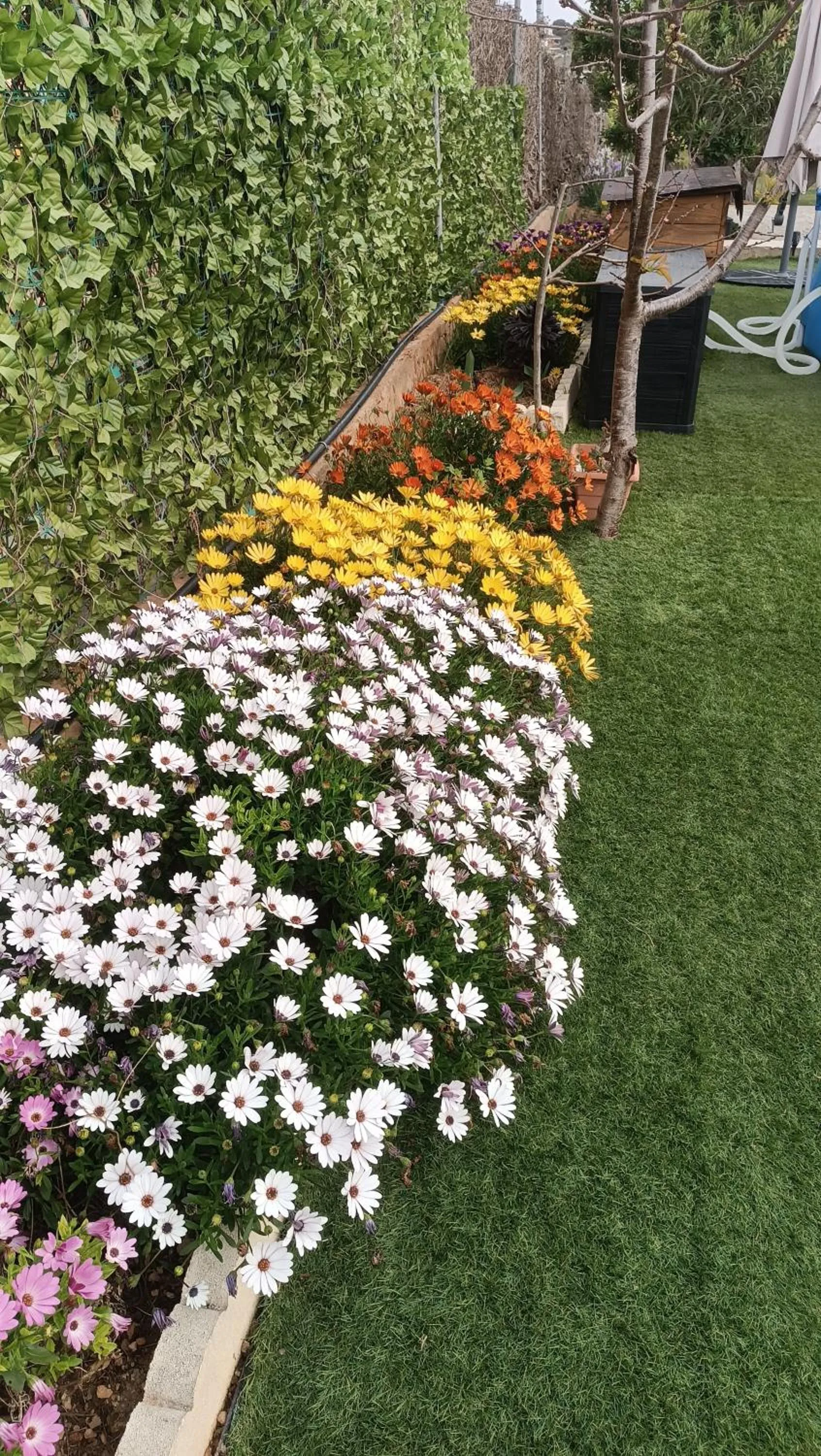 Spring in Escapada de ciudad al aire libre