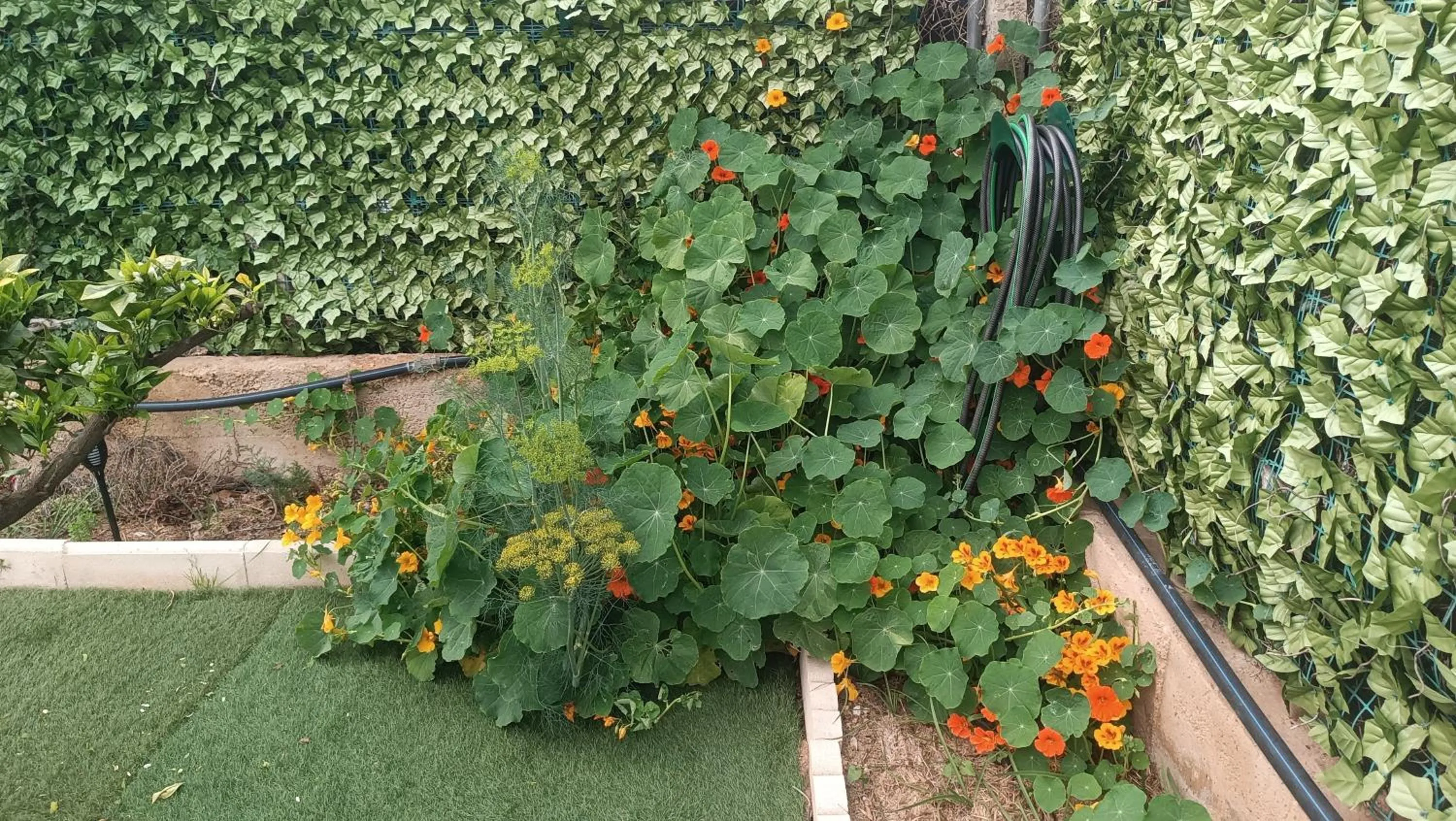Garden in Escapada de ciudad al aire libre