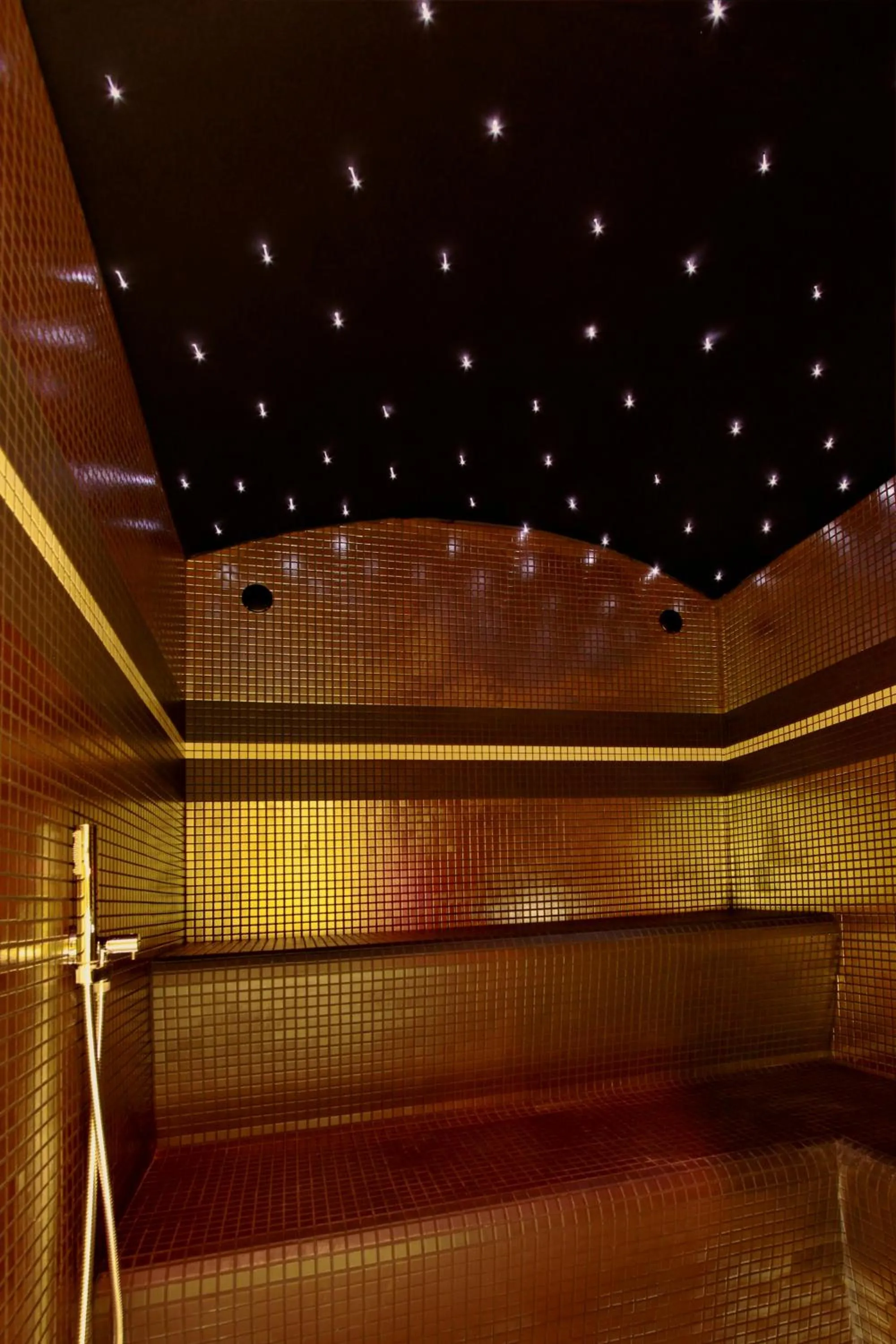 Sauna in Hotel Meridianus