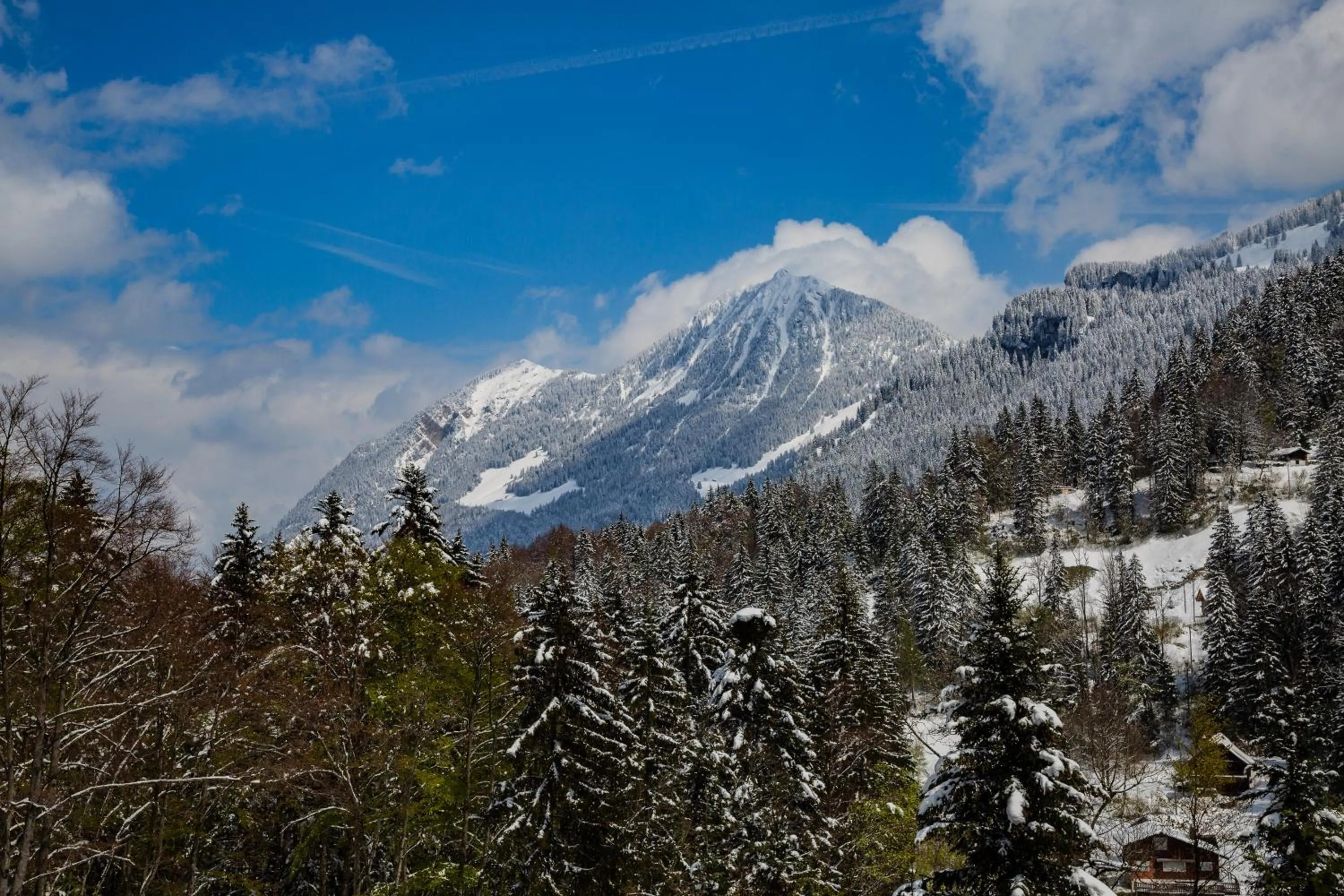 Natural landscape in Kunst- und Naturfreundehaus Brünig