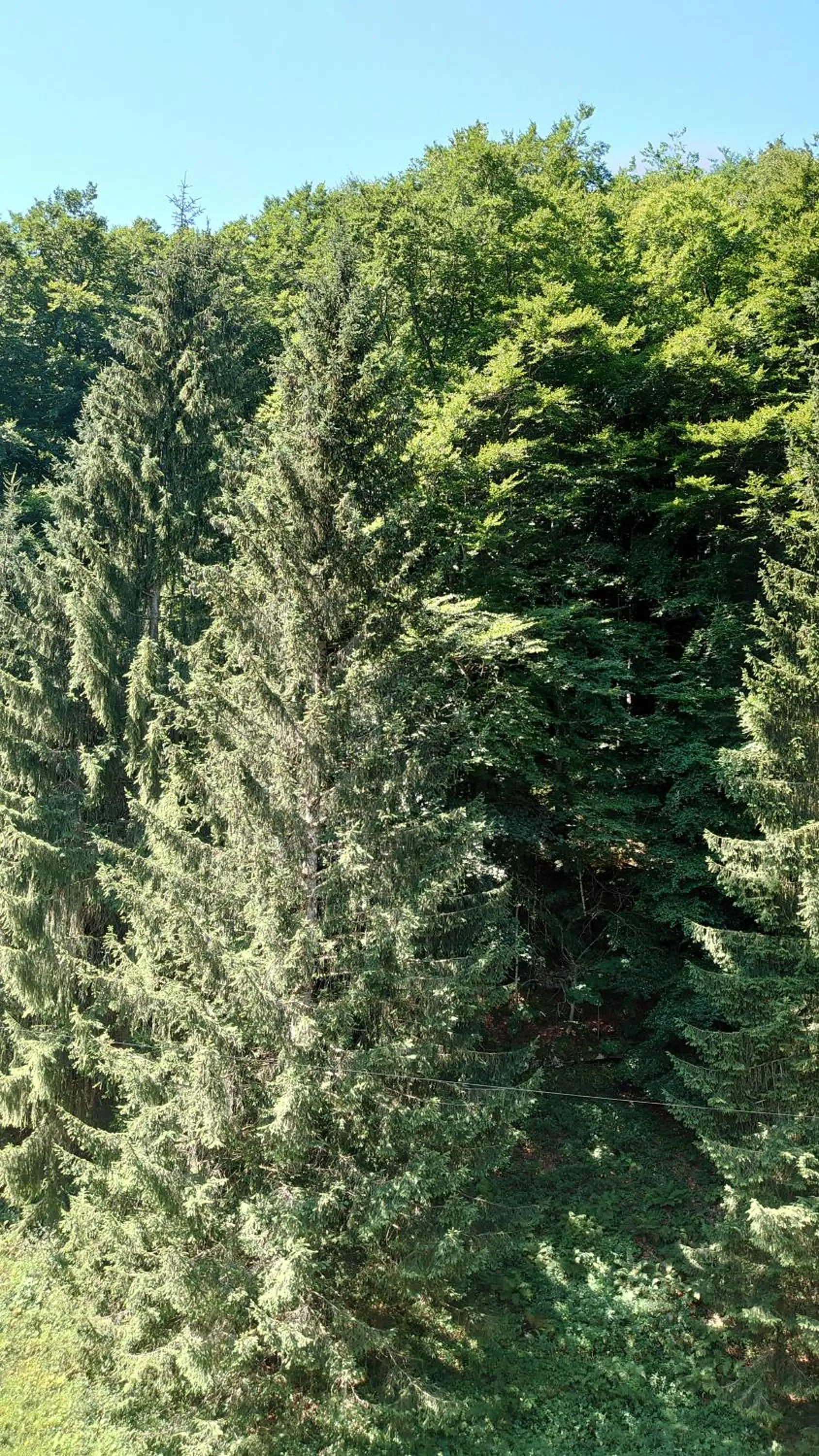 Spring in Kunst- und Naturfreundehaus Brünig